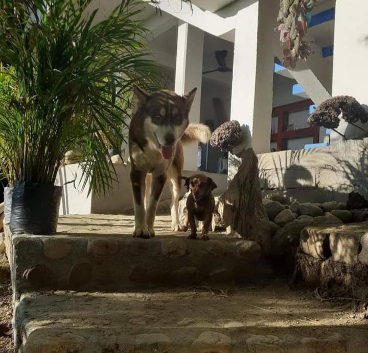 La Aldea Zipolite view 5