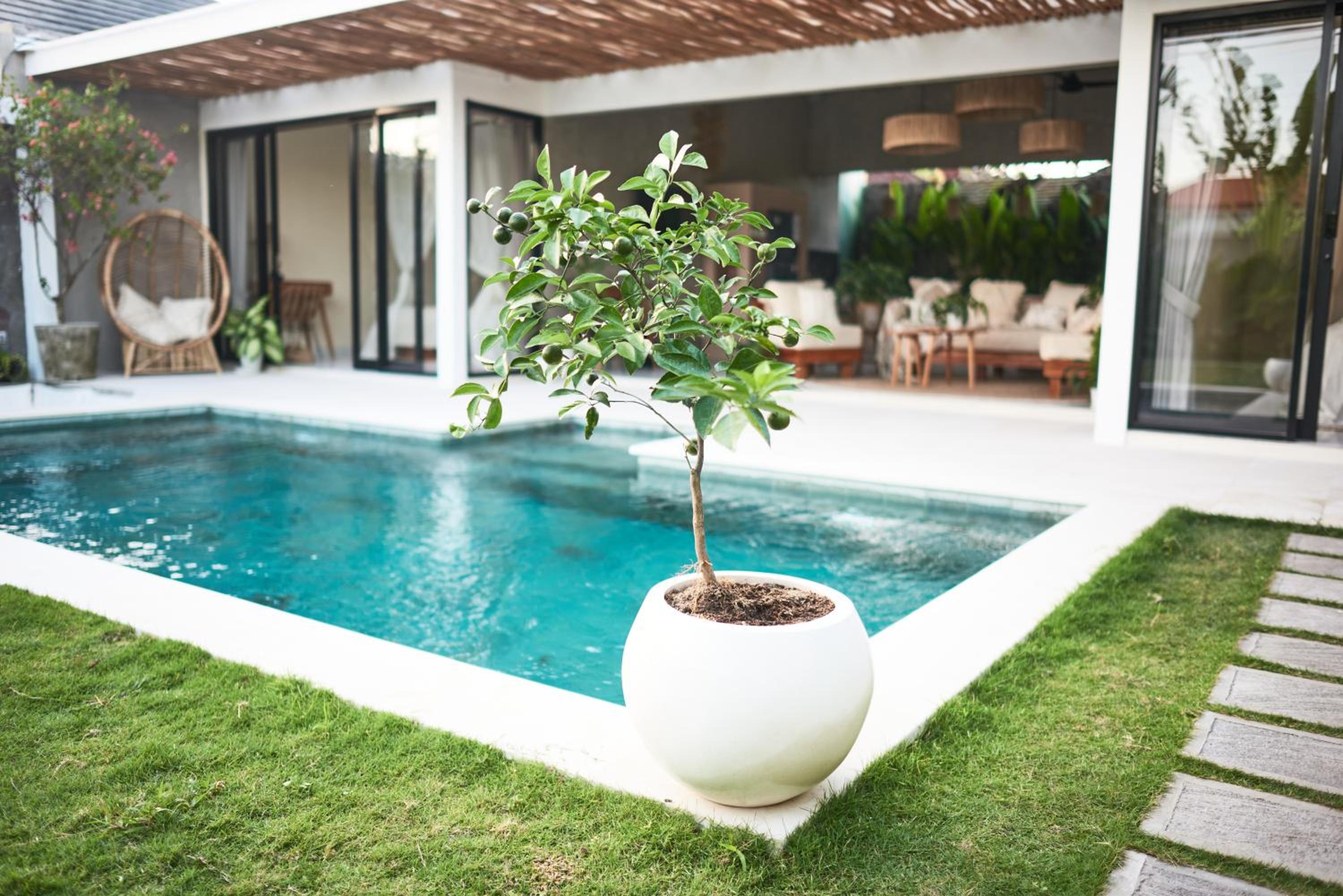 Honey Mandarin - 2BR Villa in Kerobokan view 5