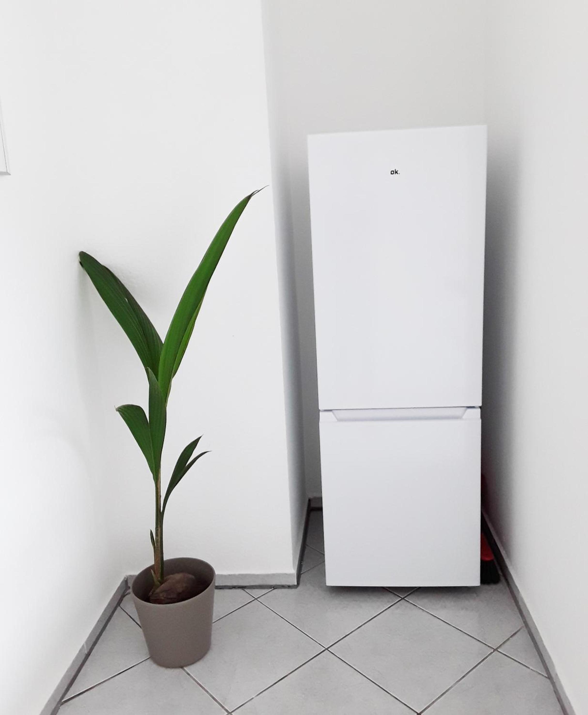 Schöne, ruhige Zweiraumwohnung im angesagten Altlindenau