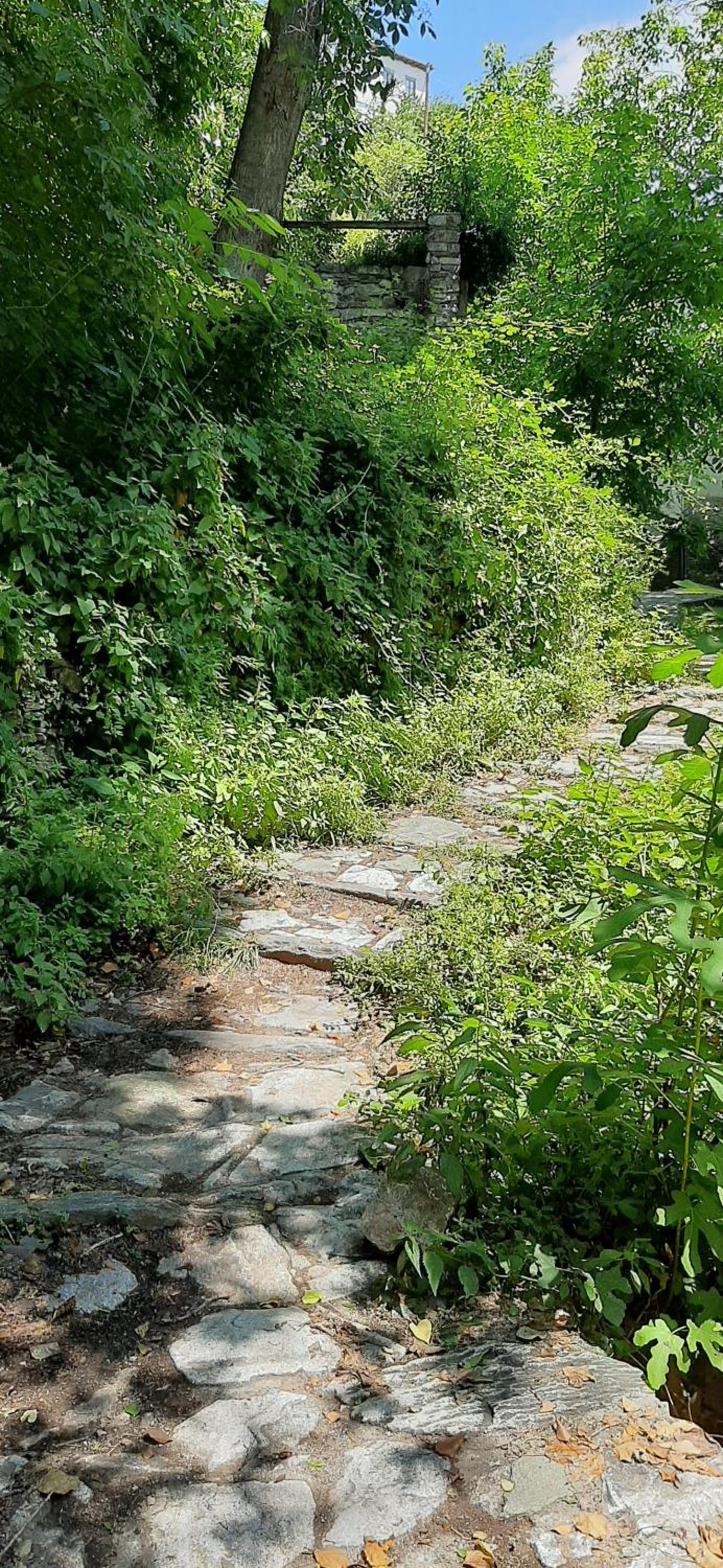 Photo 45