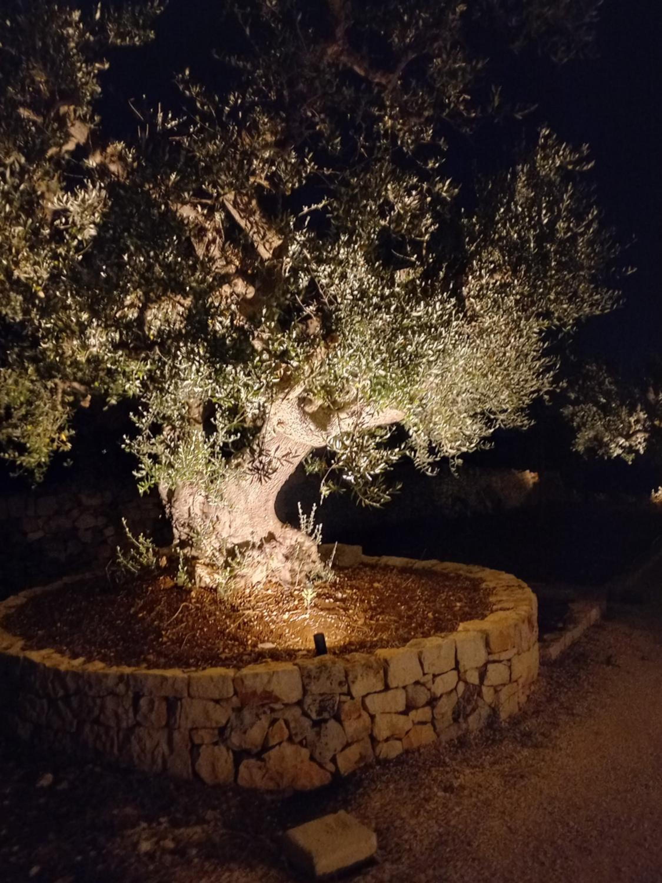 Photo 33