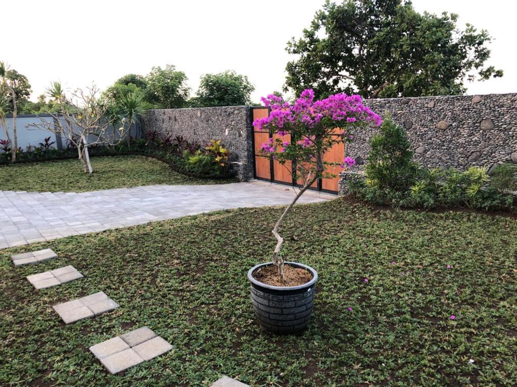 Villa Rosa East Bali