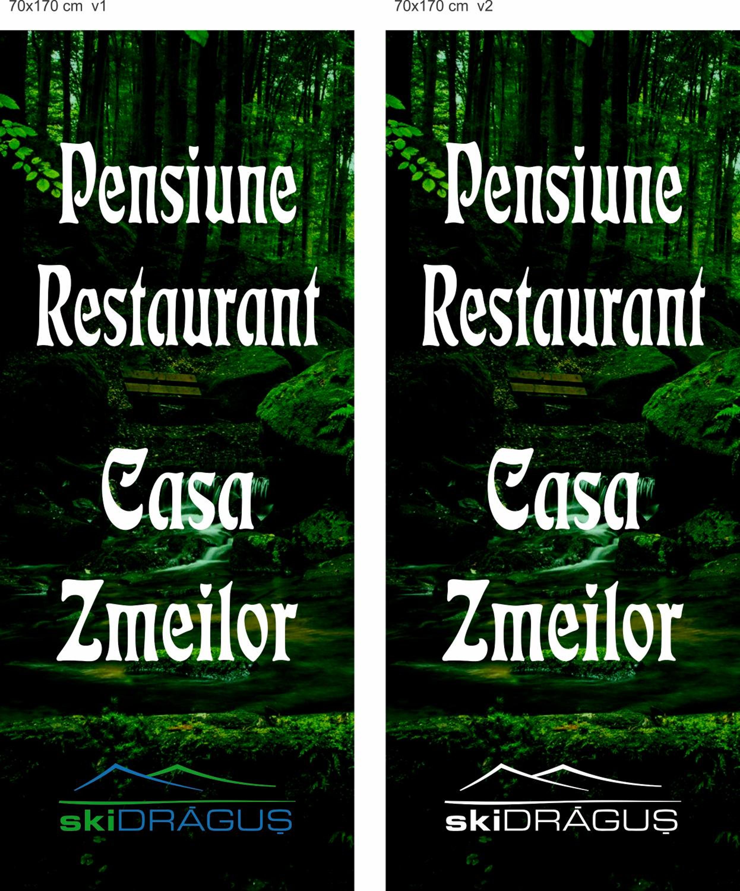 Pensiunea Casa Zmeilor view 2