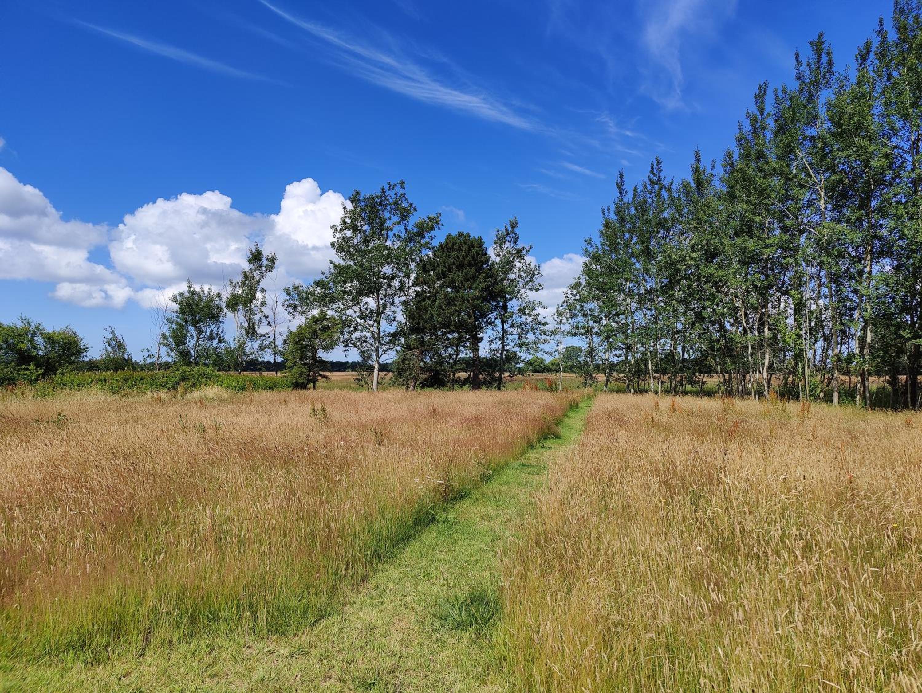 Luxury retreat with direct access to nature