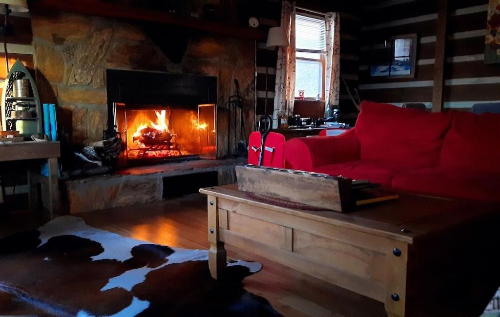 The Mountain Forager Cabin, Bryson City NC view 3