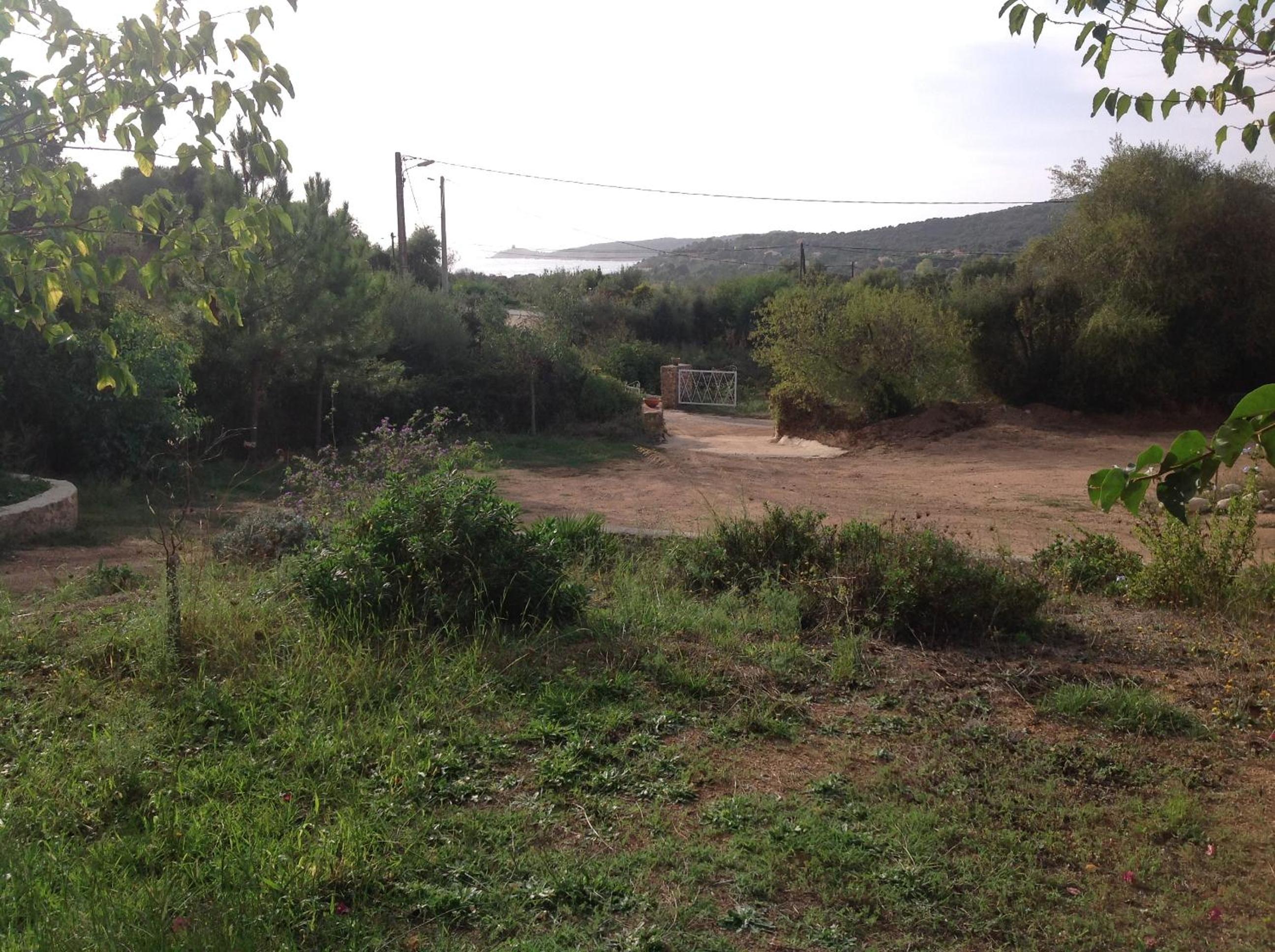 Photo 31