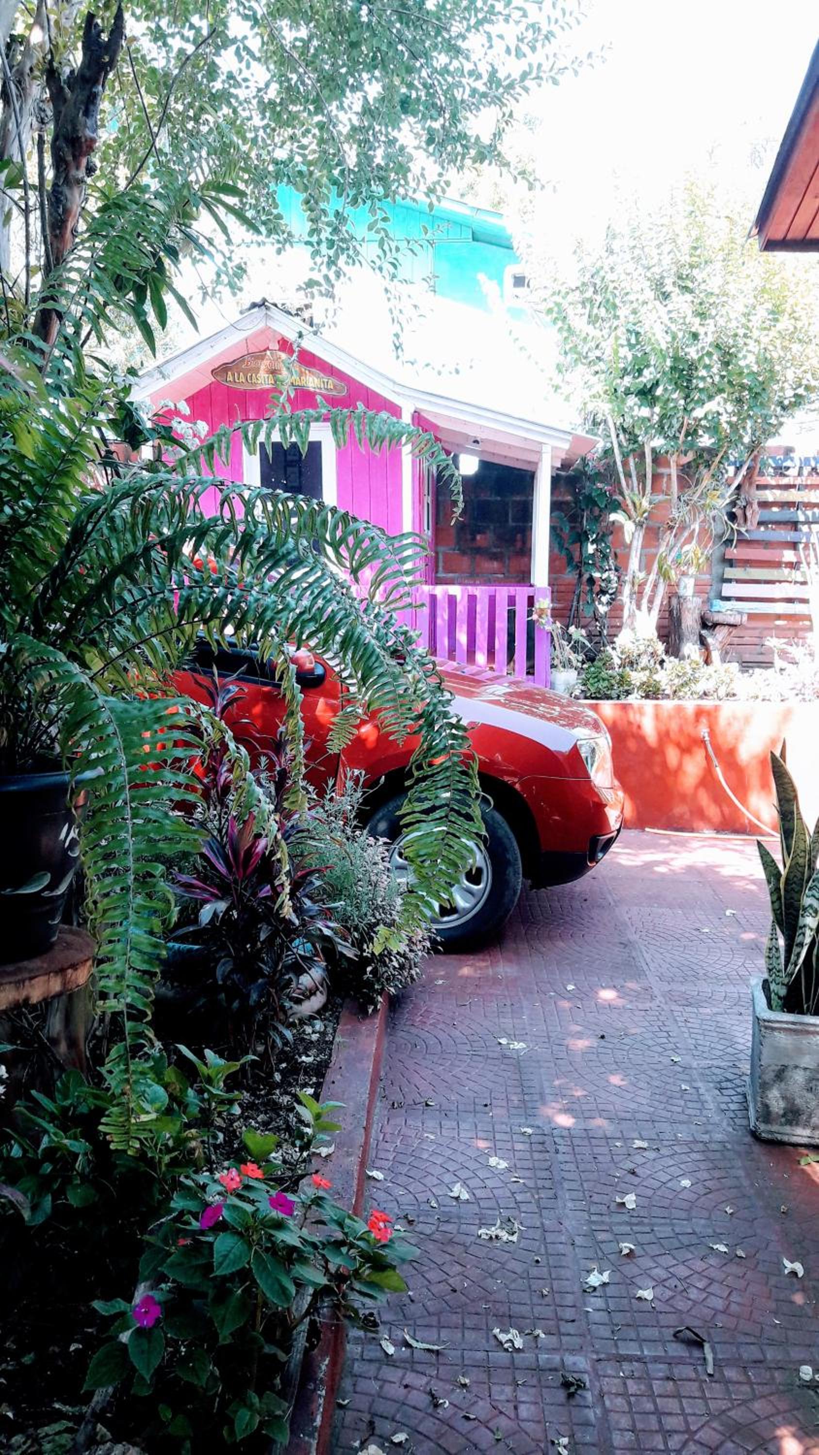 Jorge casa de las Orquídeas