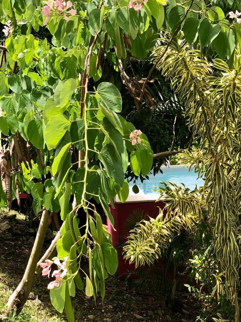 Villa Bauhinia view 3