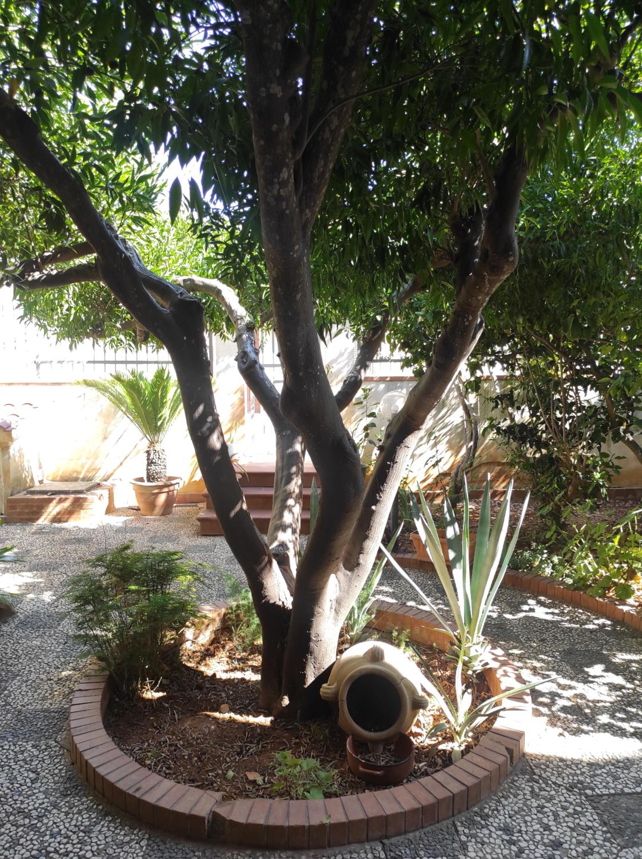 Art Loft I Rocchi photo 2