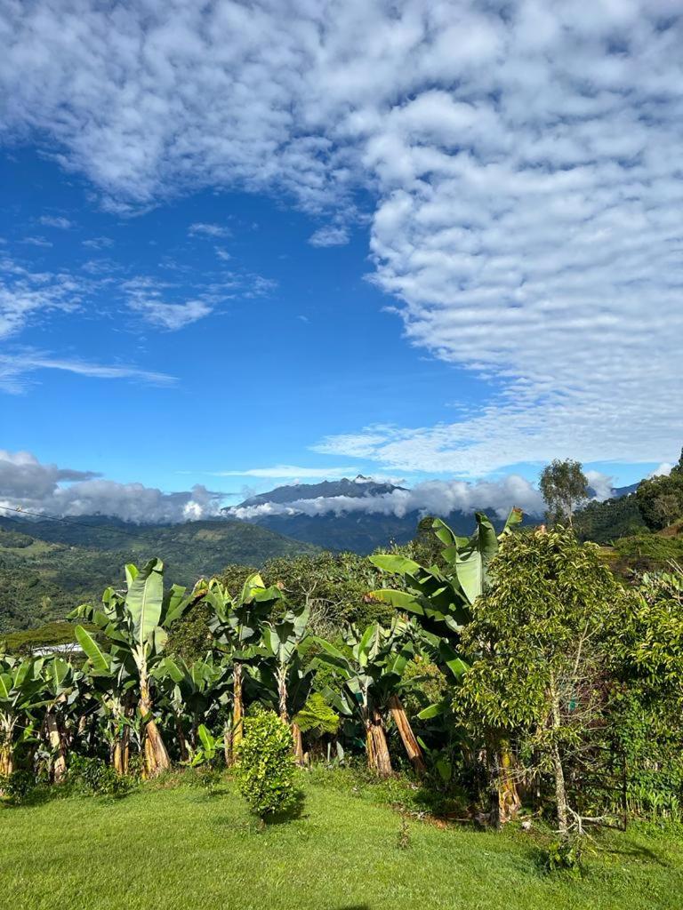 Finca La Antigua. finca tradicional Cafetera