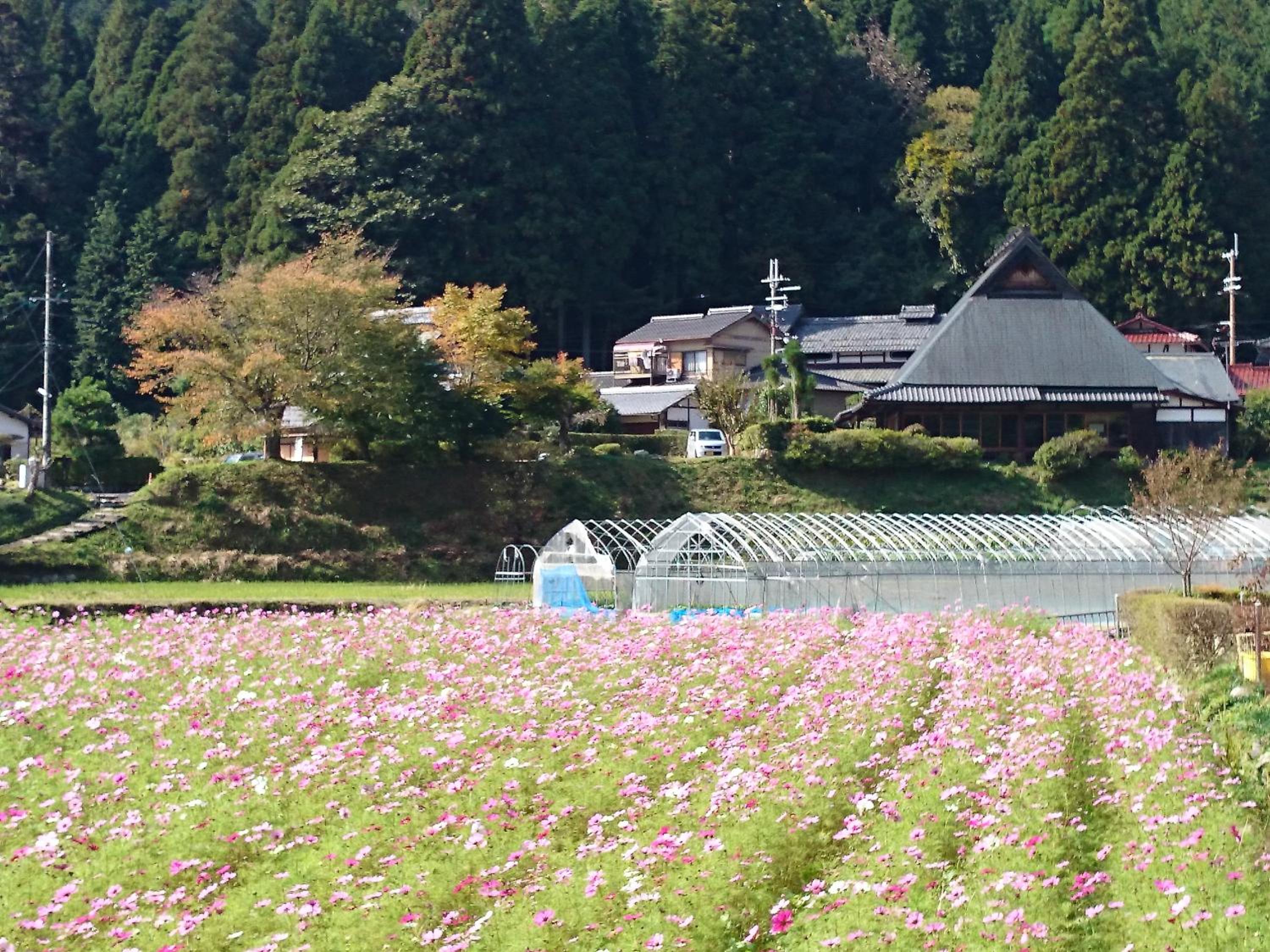Yumoto Onsen OharaSansou
