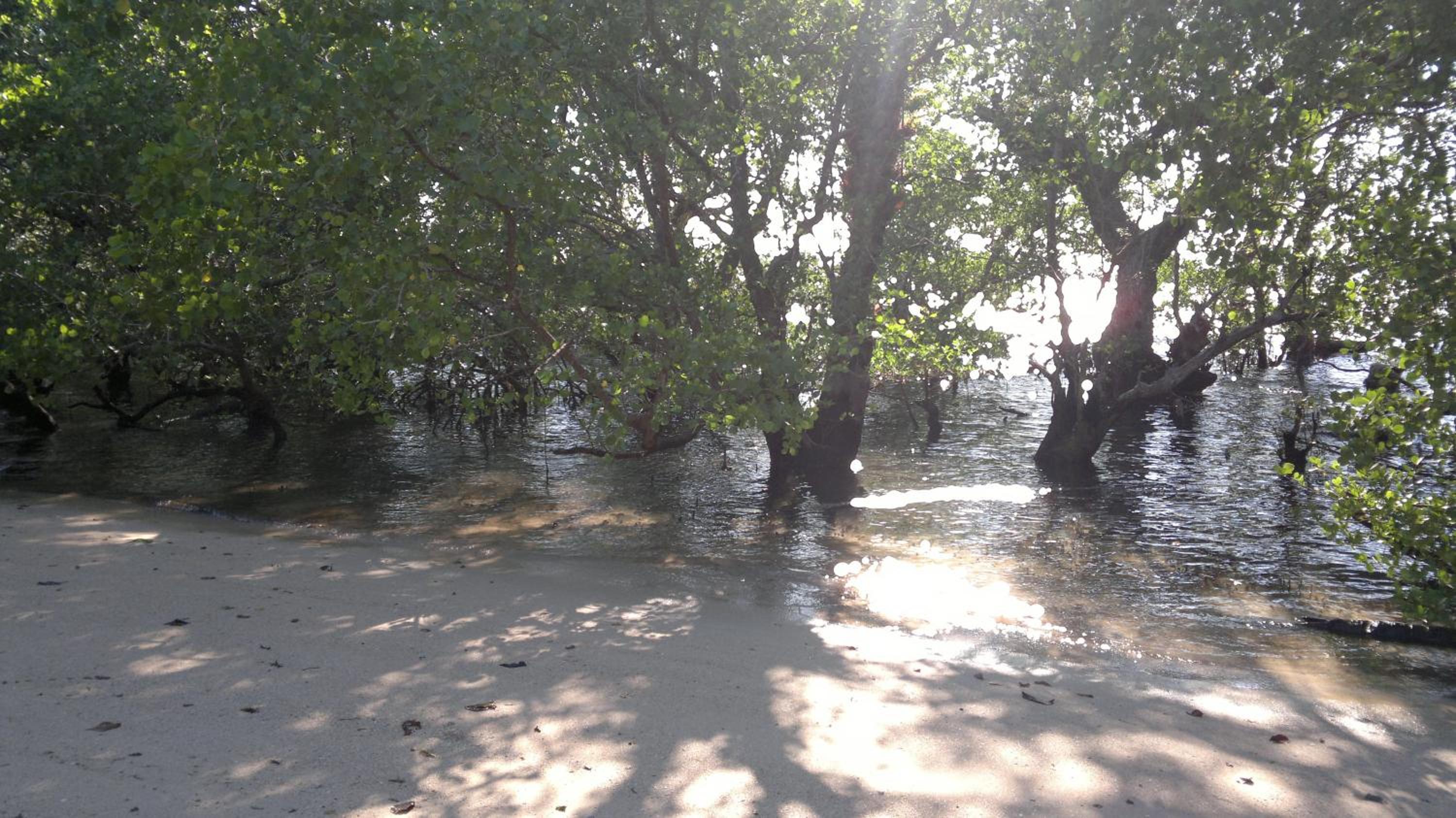 Cakalang Resort view 4