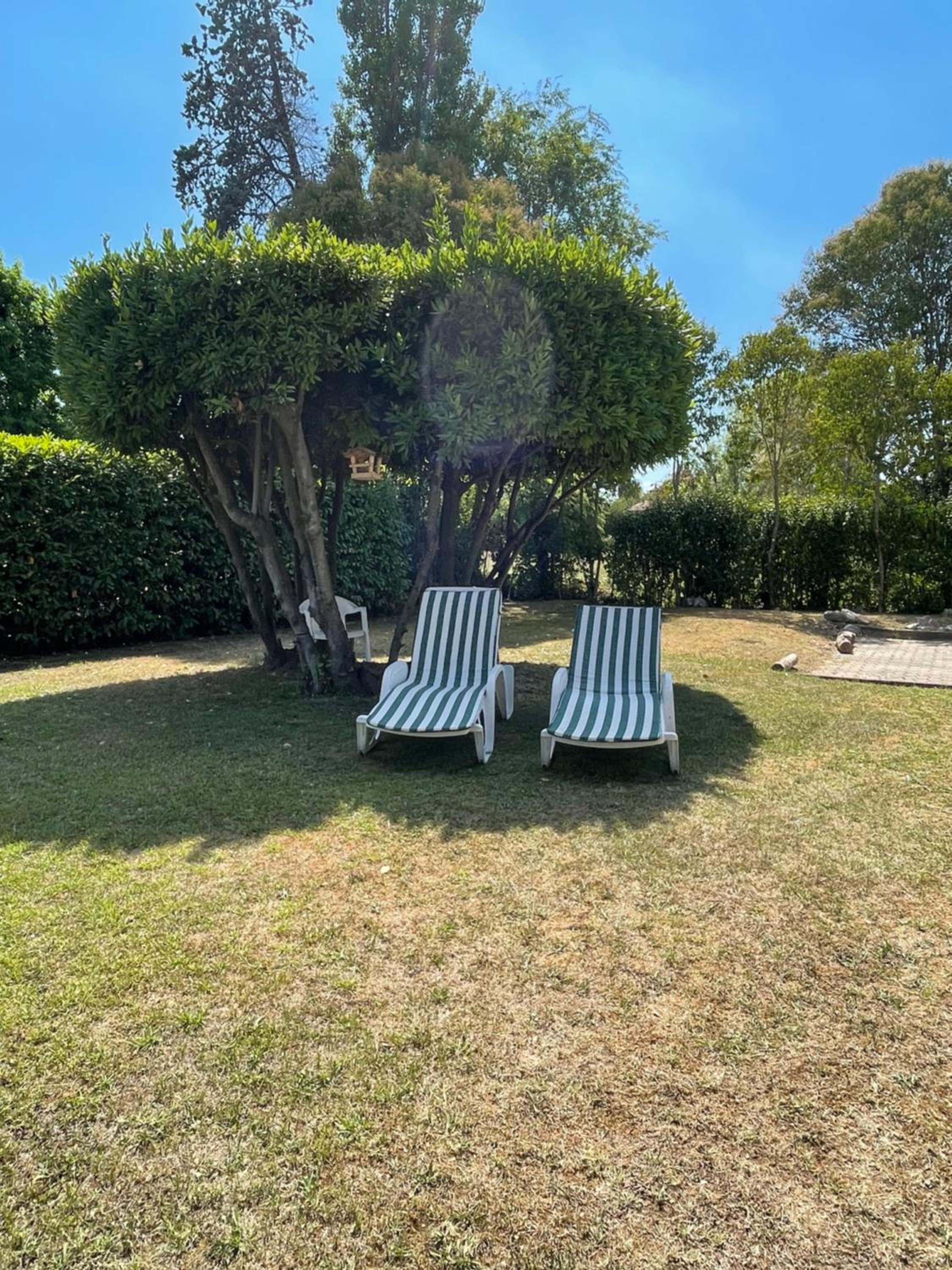 Sunflower apartament