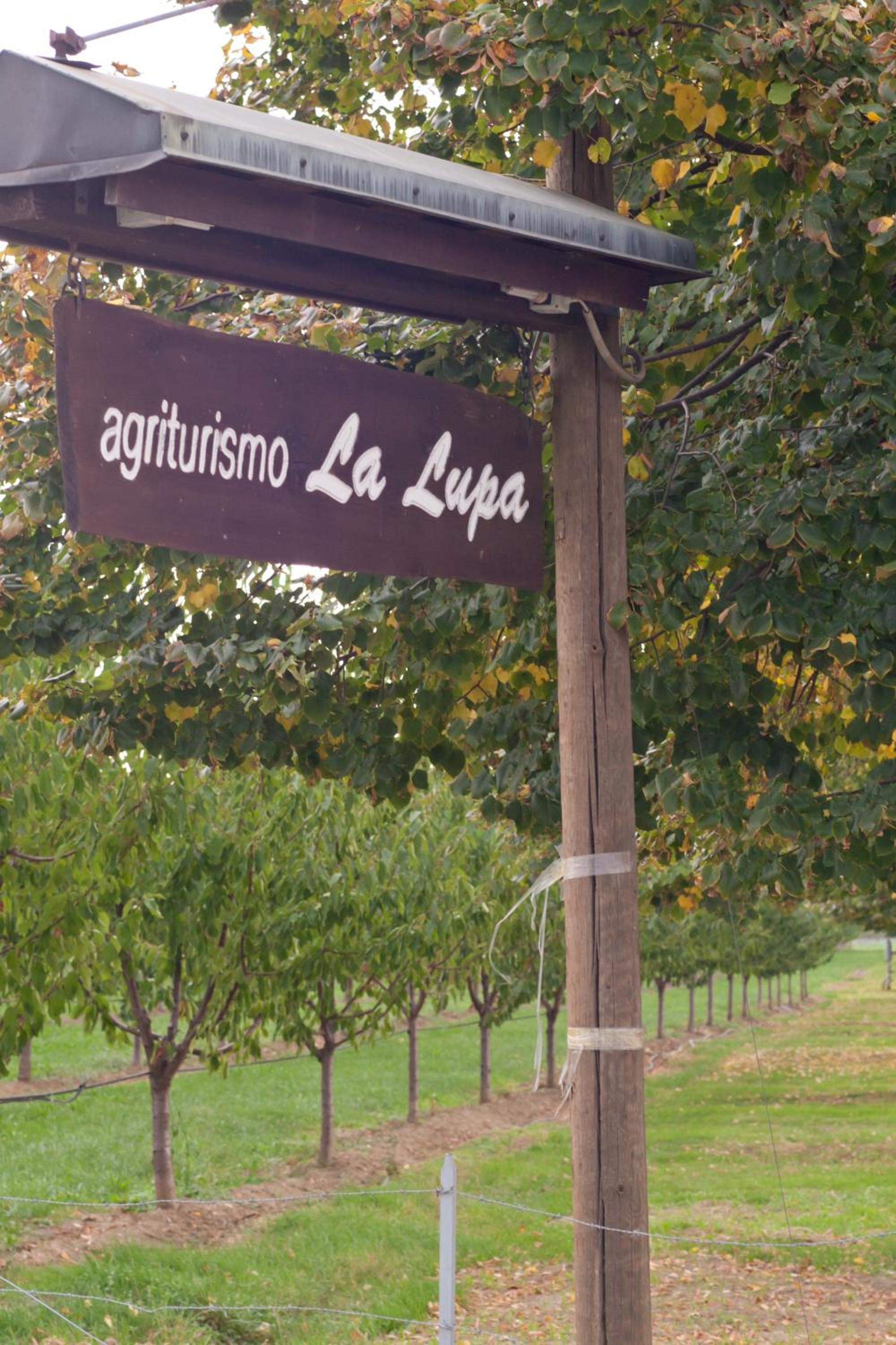 Agriturismo La Lupa