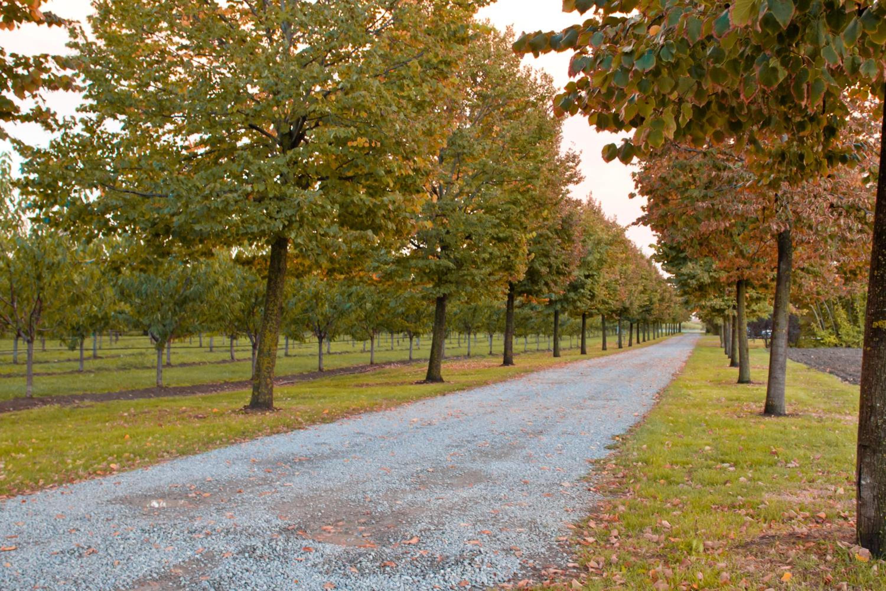 Agriturismo La Lupa