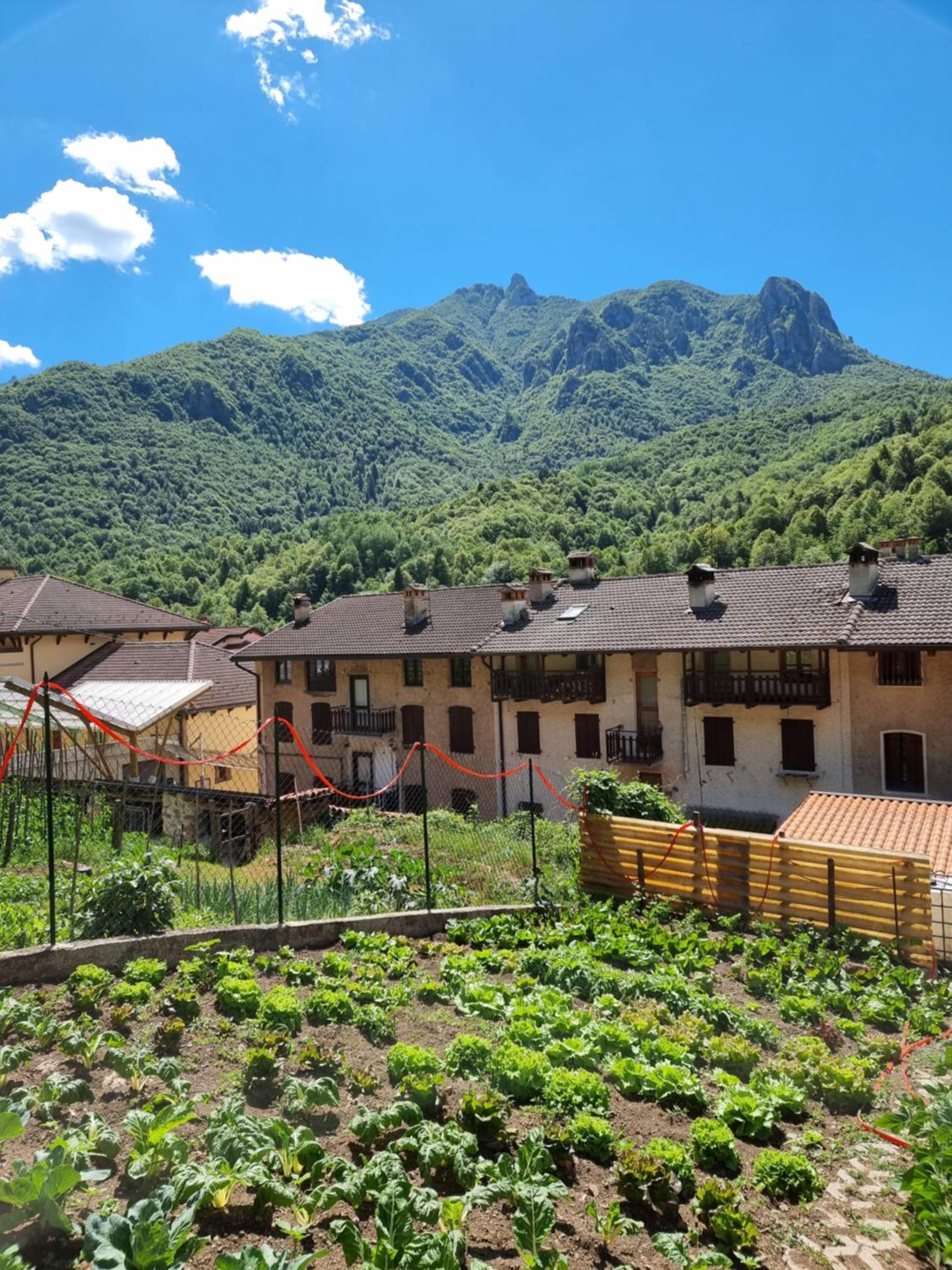 Trattoria Albergo all'Alpino