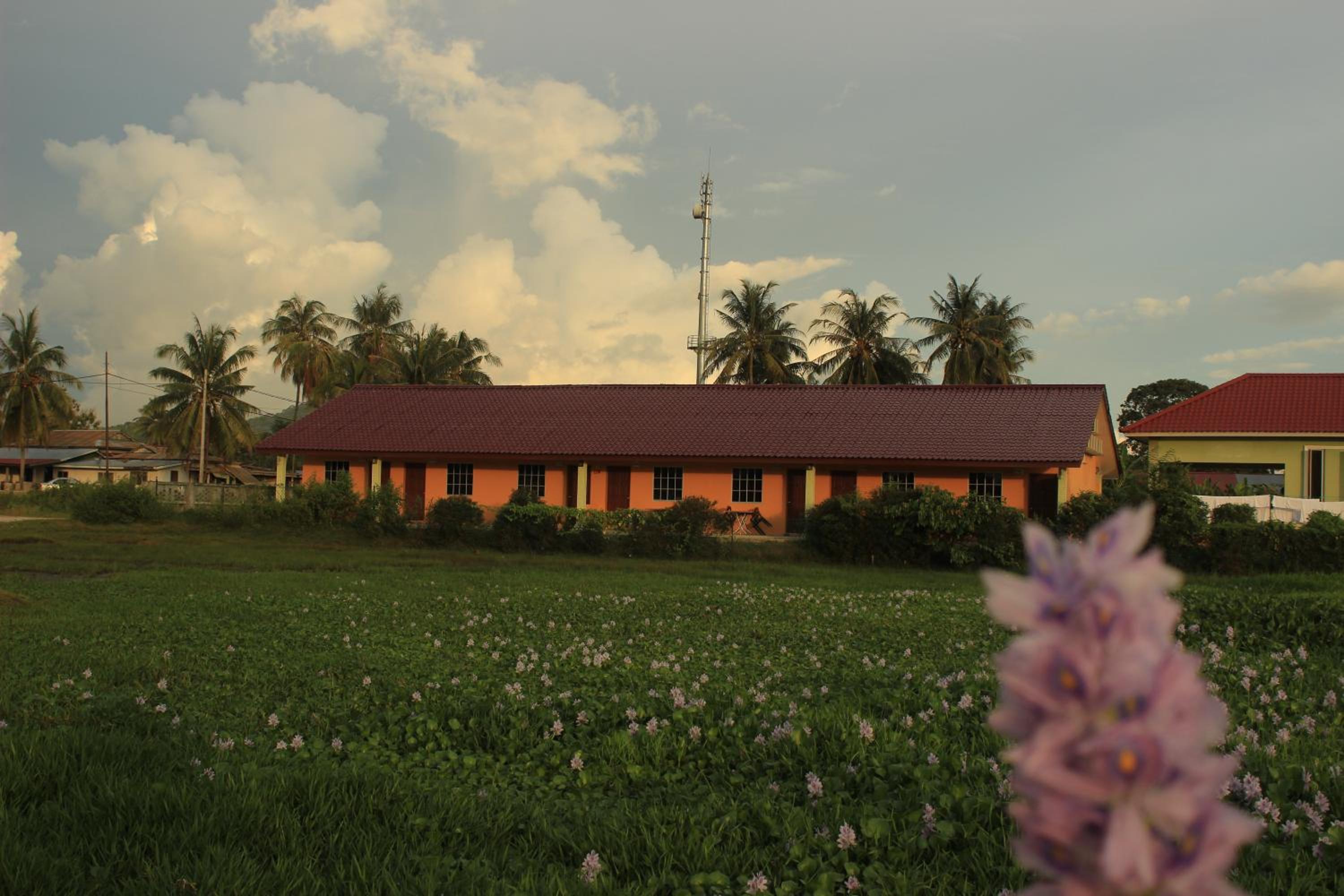 Photo 42
