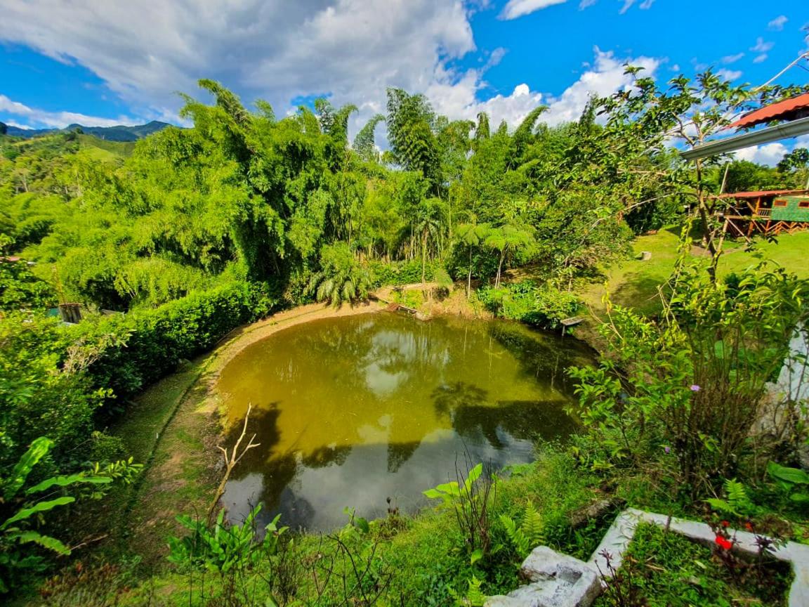 Cabaa Type Glamping - with swimming pool