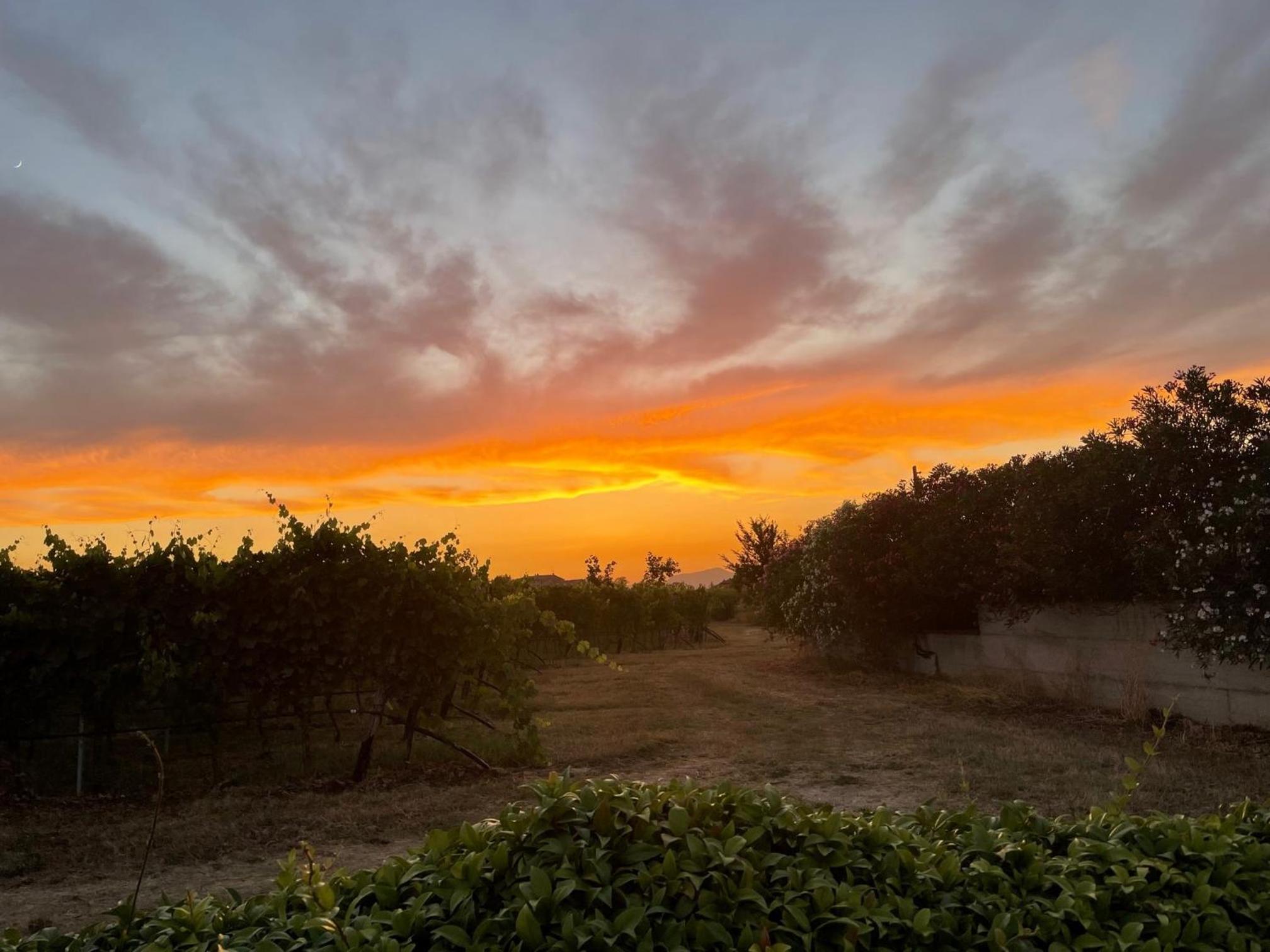 B&B CORTE SAN MICHELE Desenzano view 5