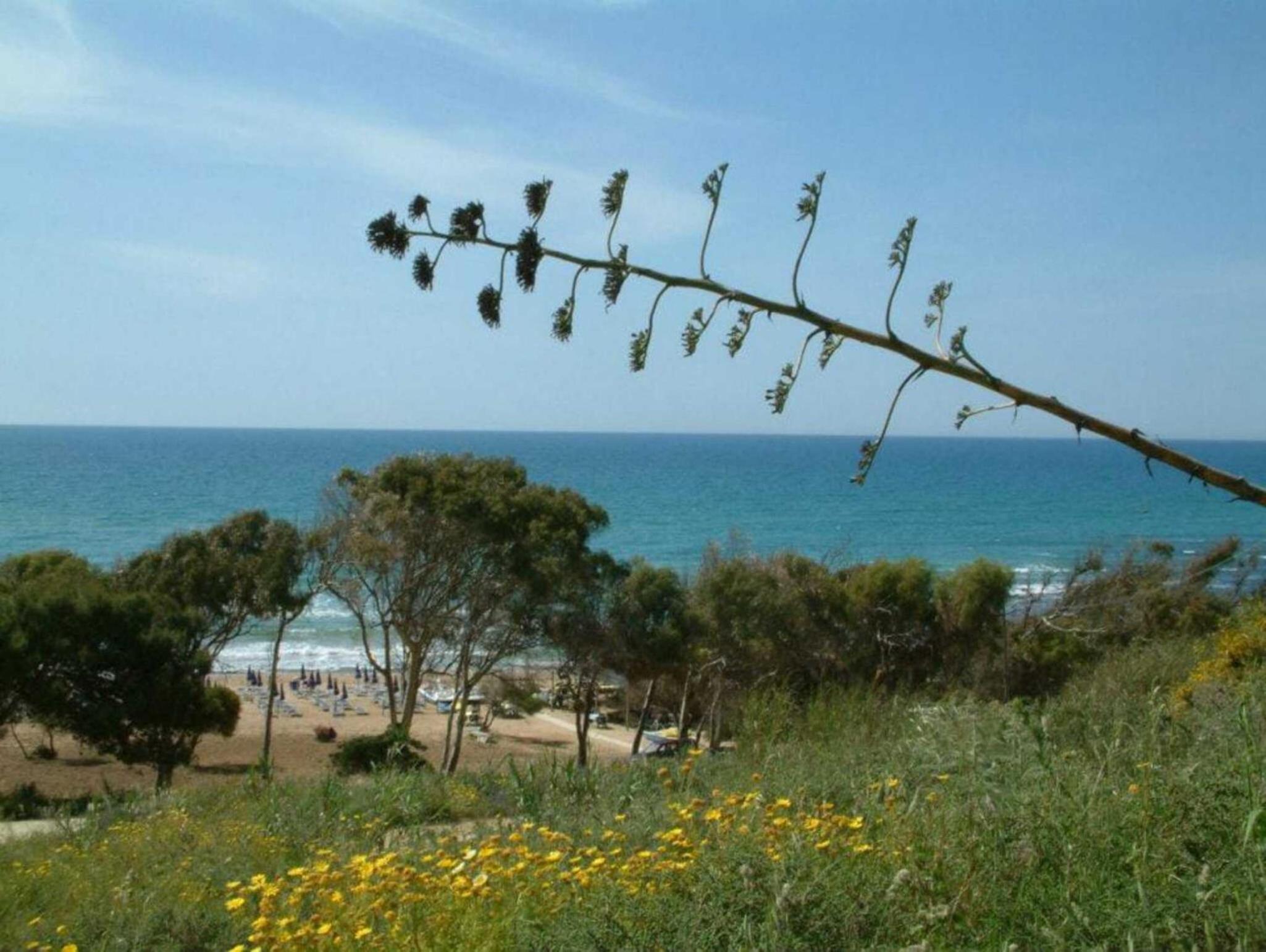La Vecchia Marina sul mare