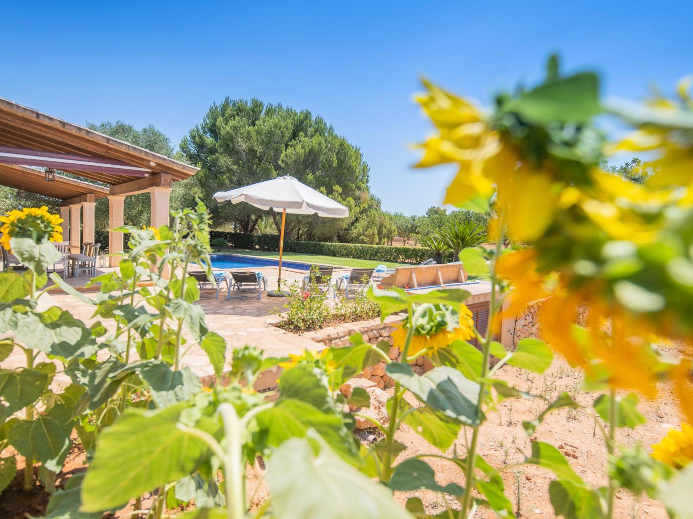 Villa Ses Quaranta view 5