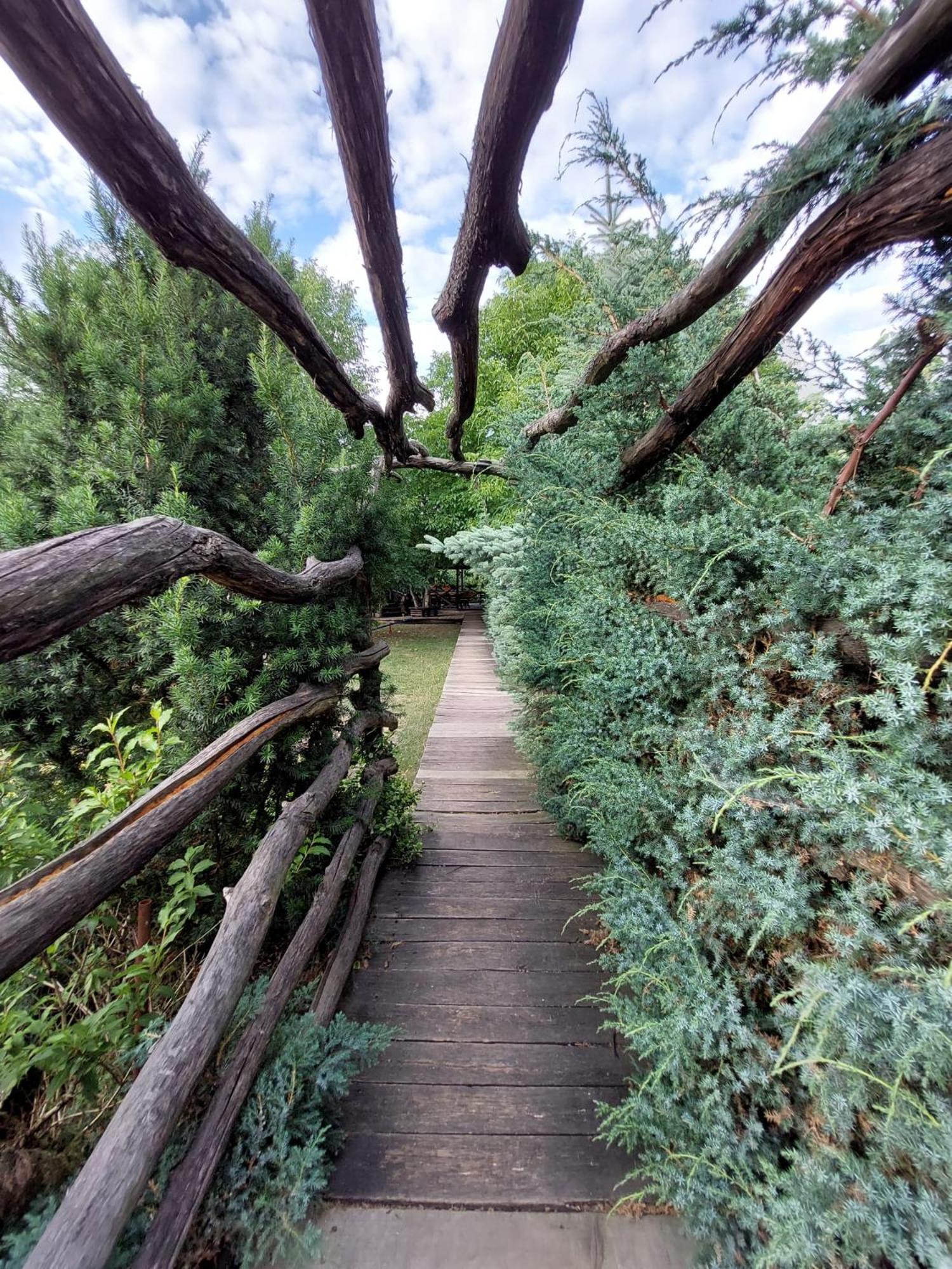 Photo 21