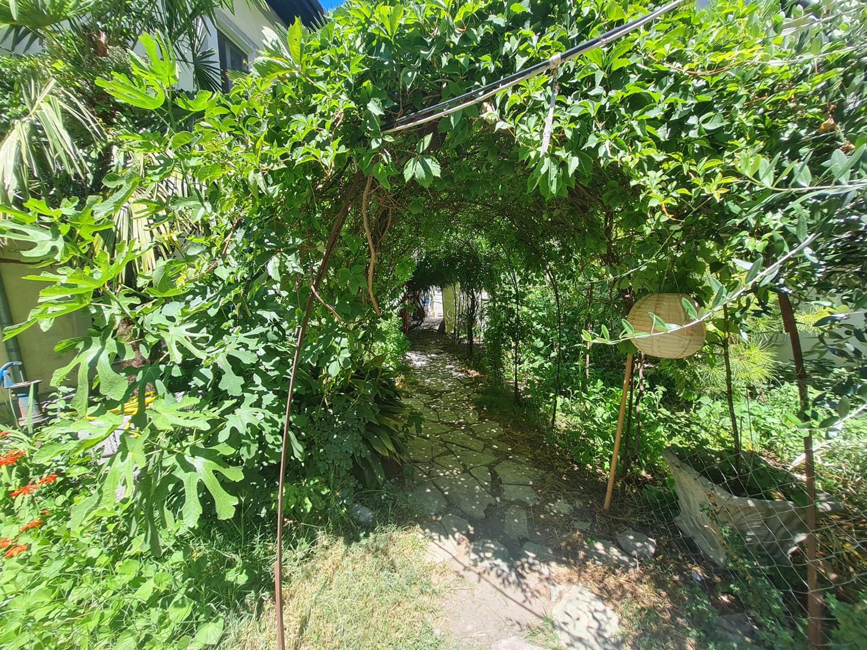 Mi Casa es Tu Casa - Shkodra Backpackers Hostel