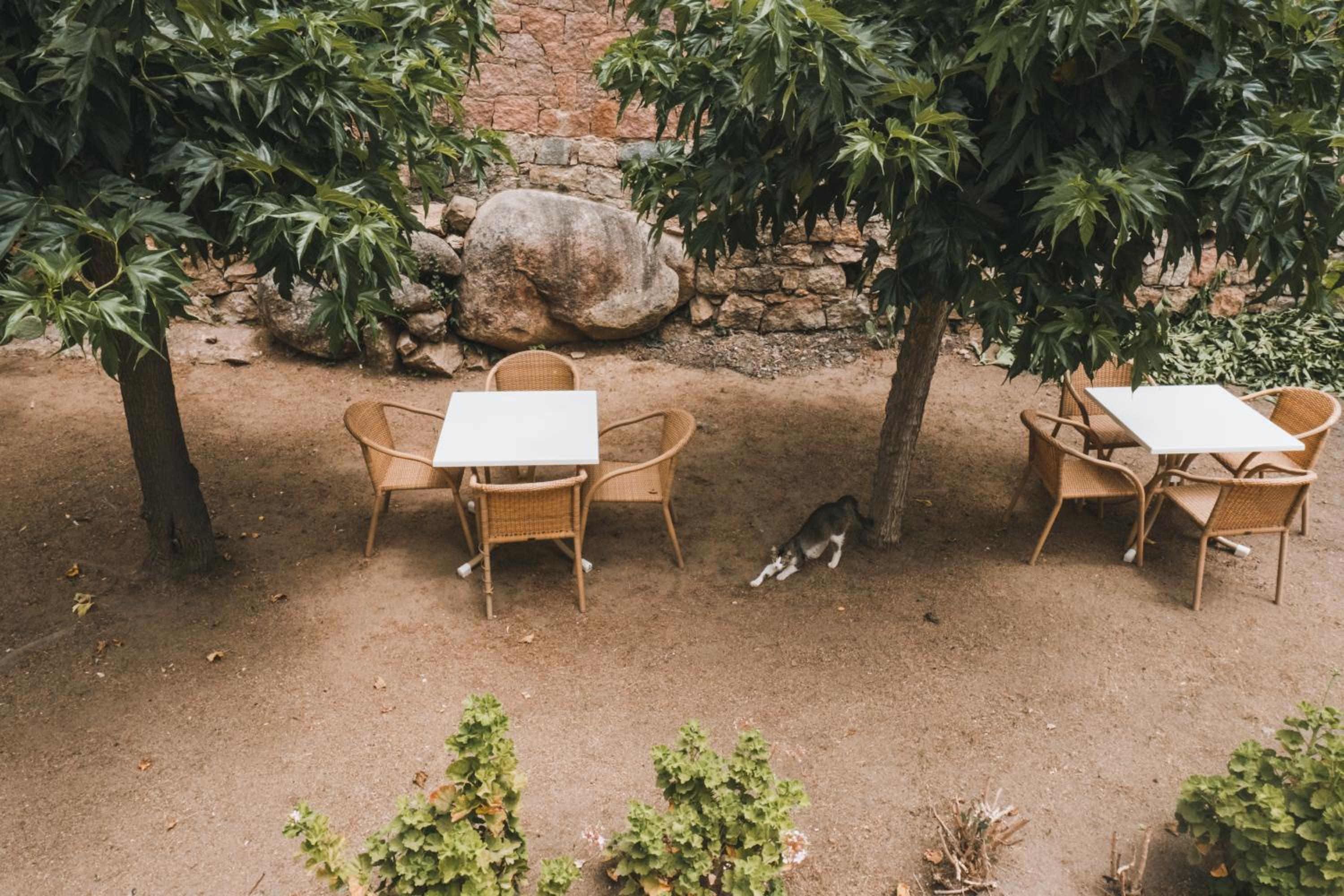 outdoor BBQ area