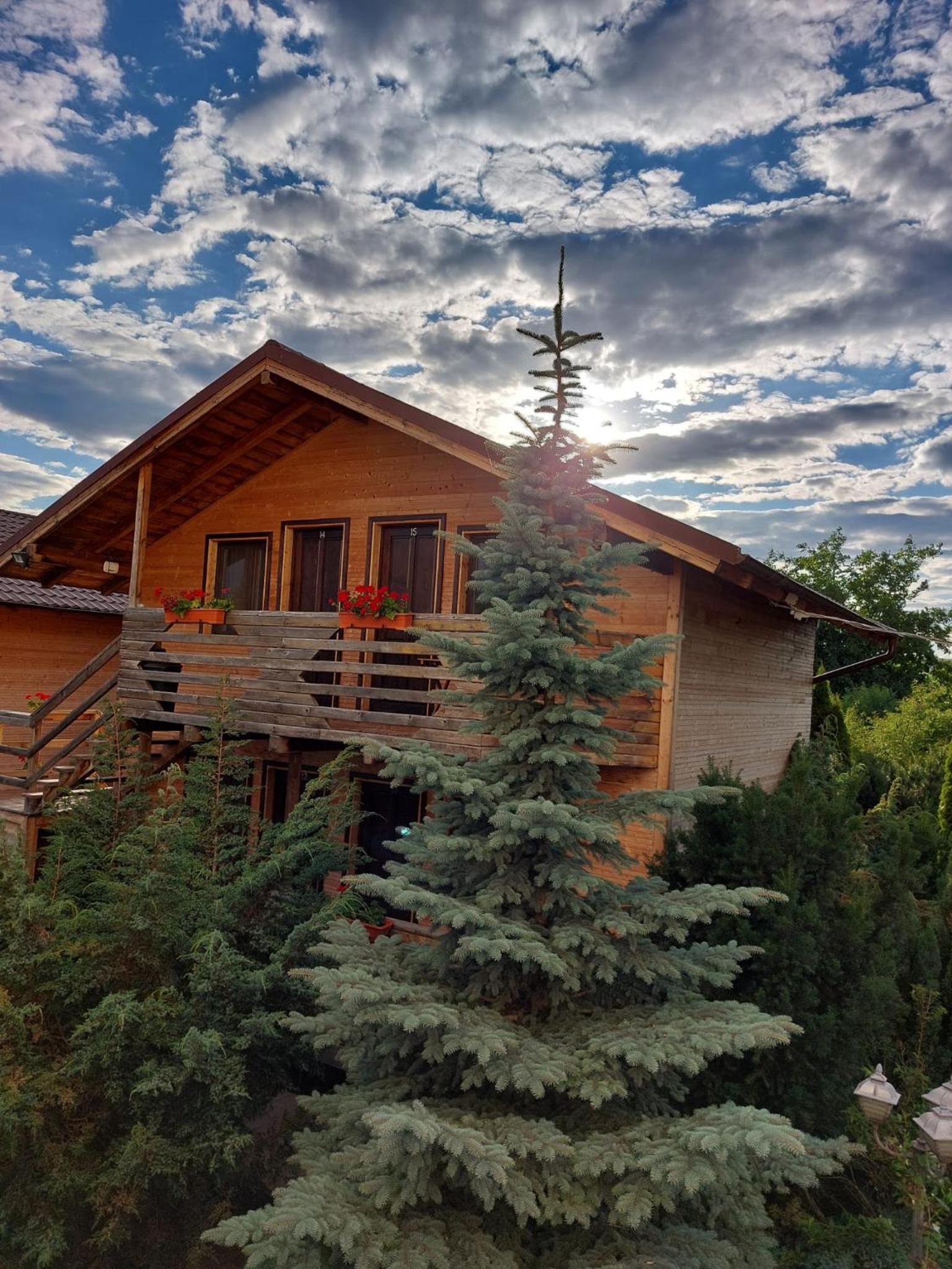 Daiana Residence Cabane view 4