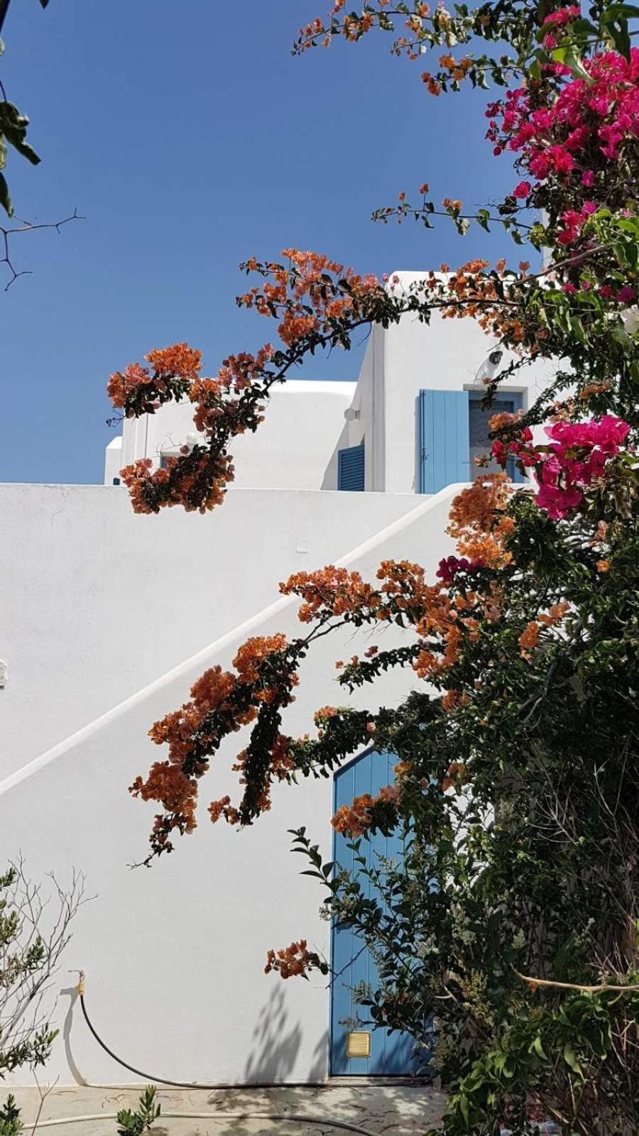 Villa Mariza Kythnos
