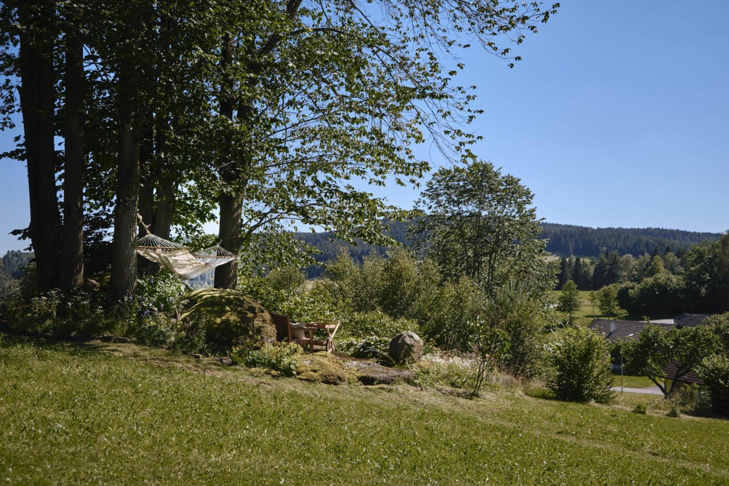 Aigen 13 - Dreiviertelhof im Waldviertel