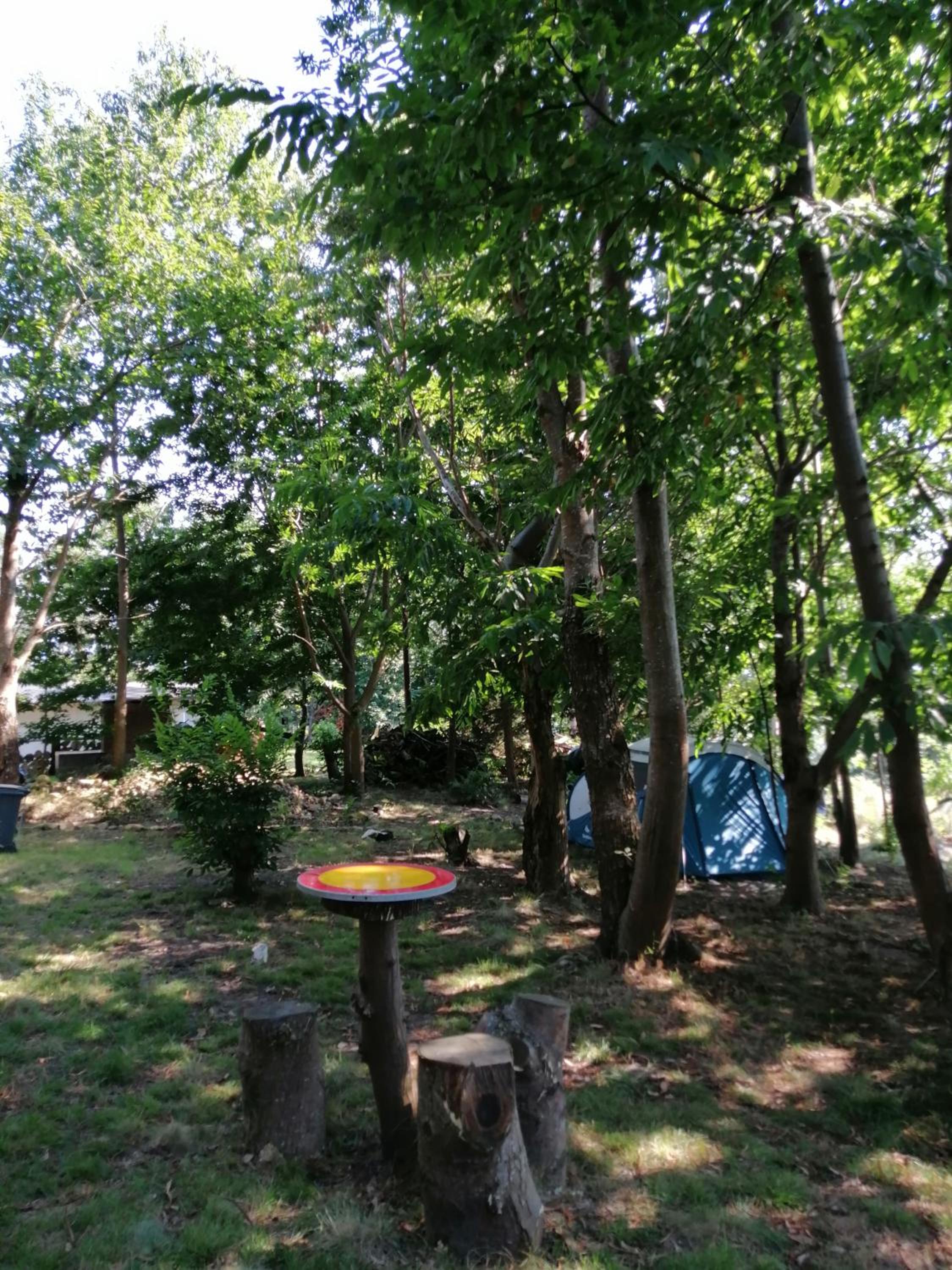 Photo 43