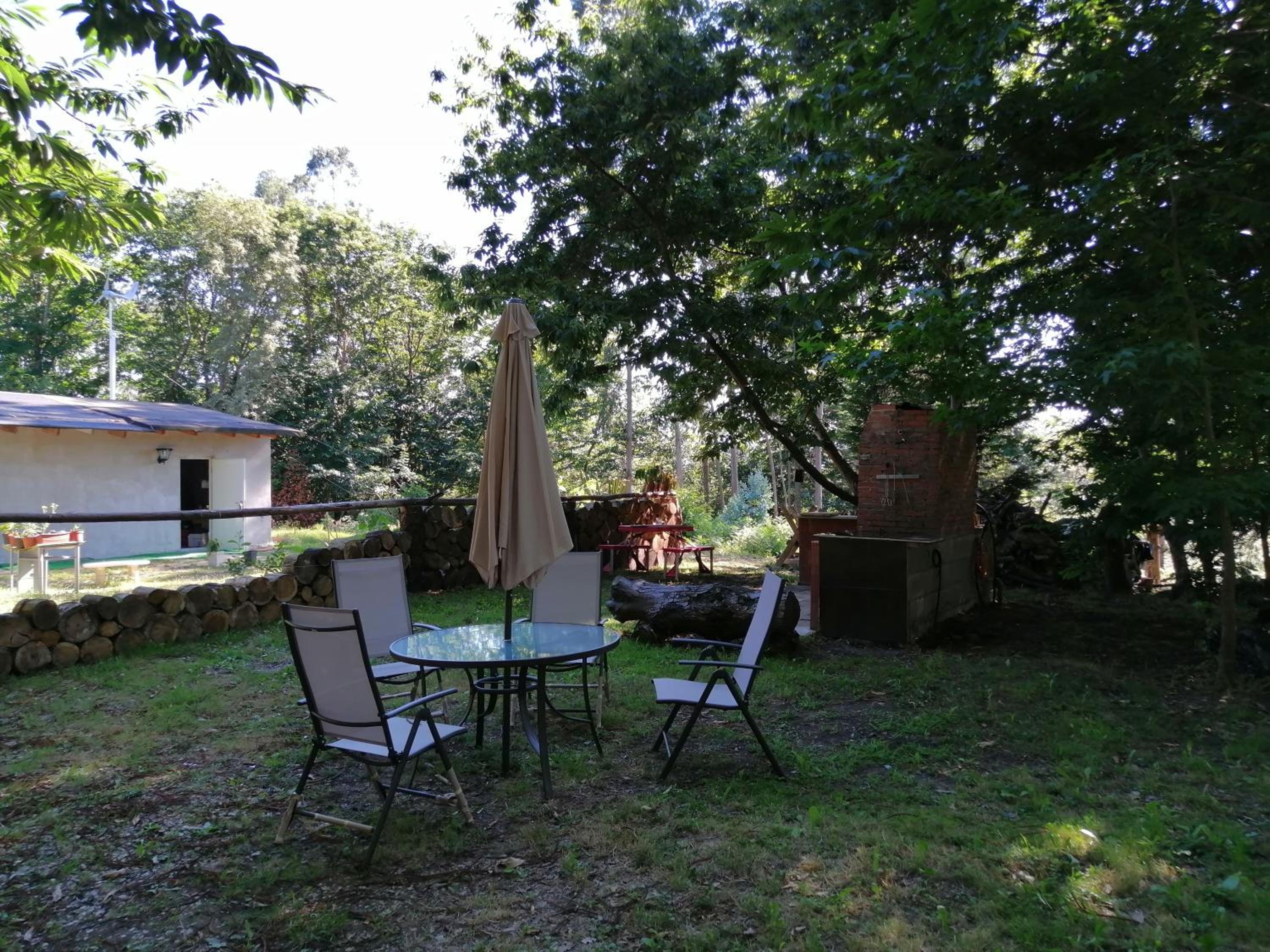 Photo 48