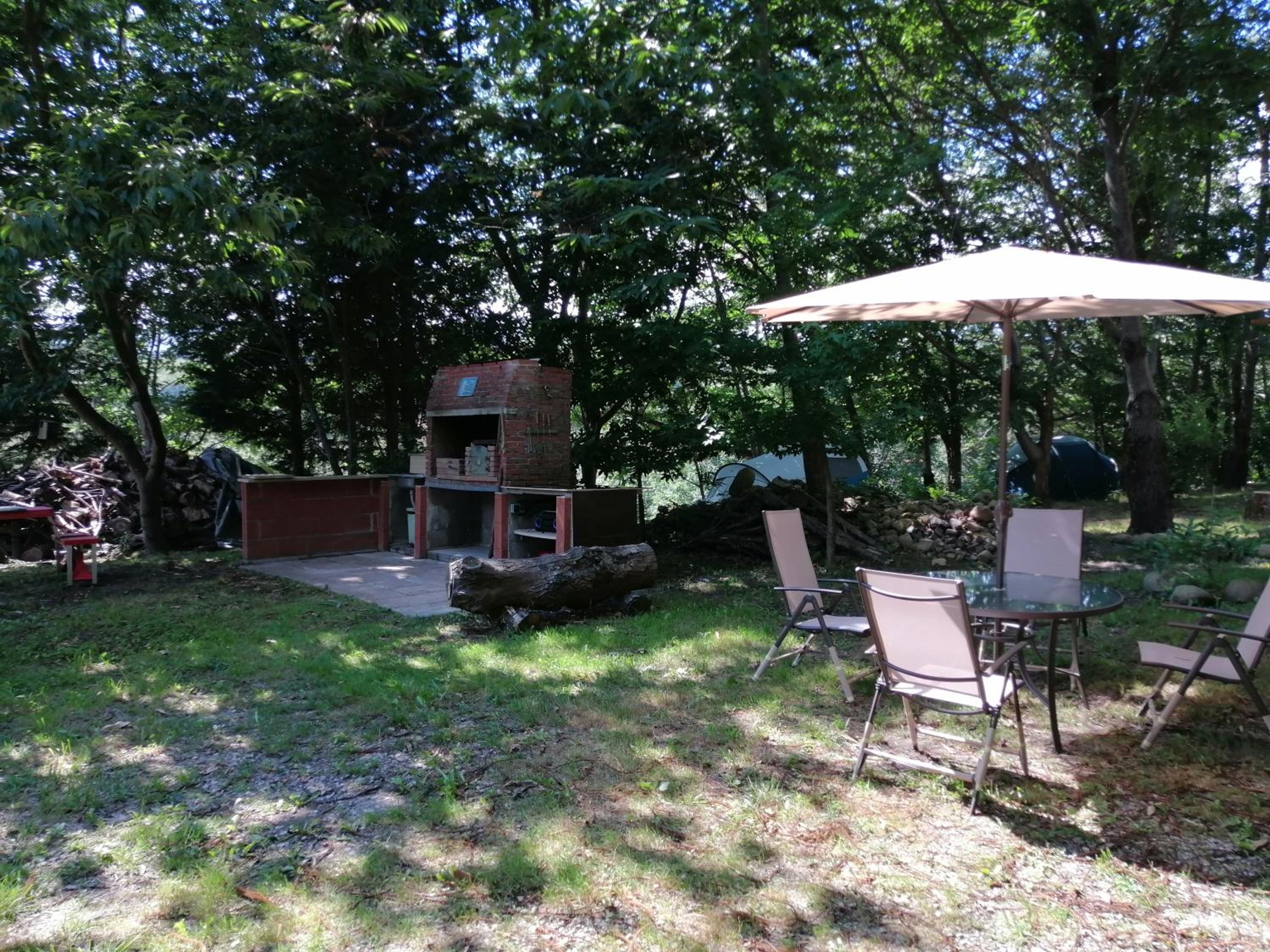 Photo 47