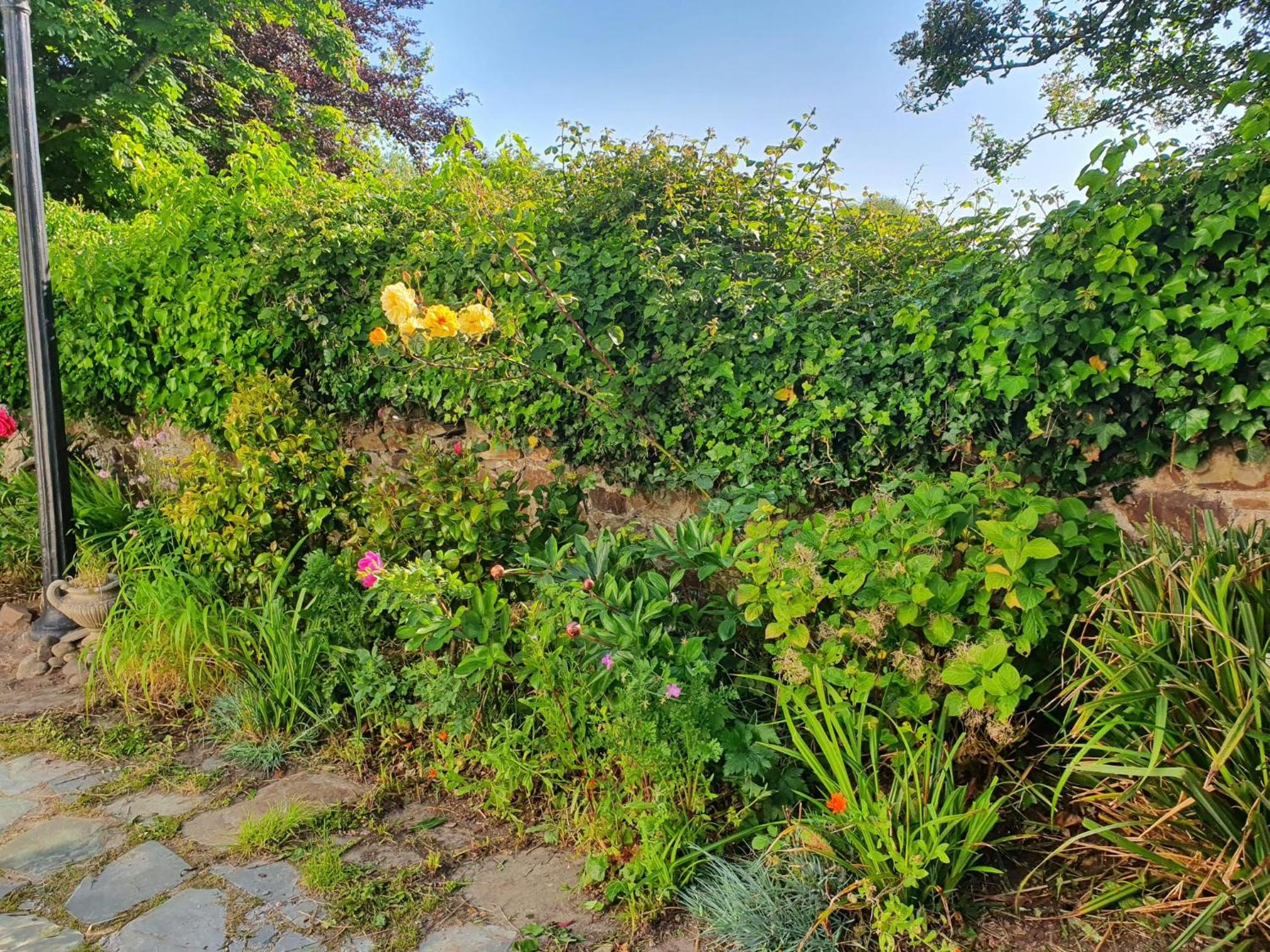 Bude Vacations - Boots Cottage - Property Image 32