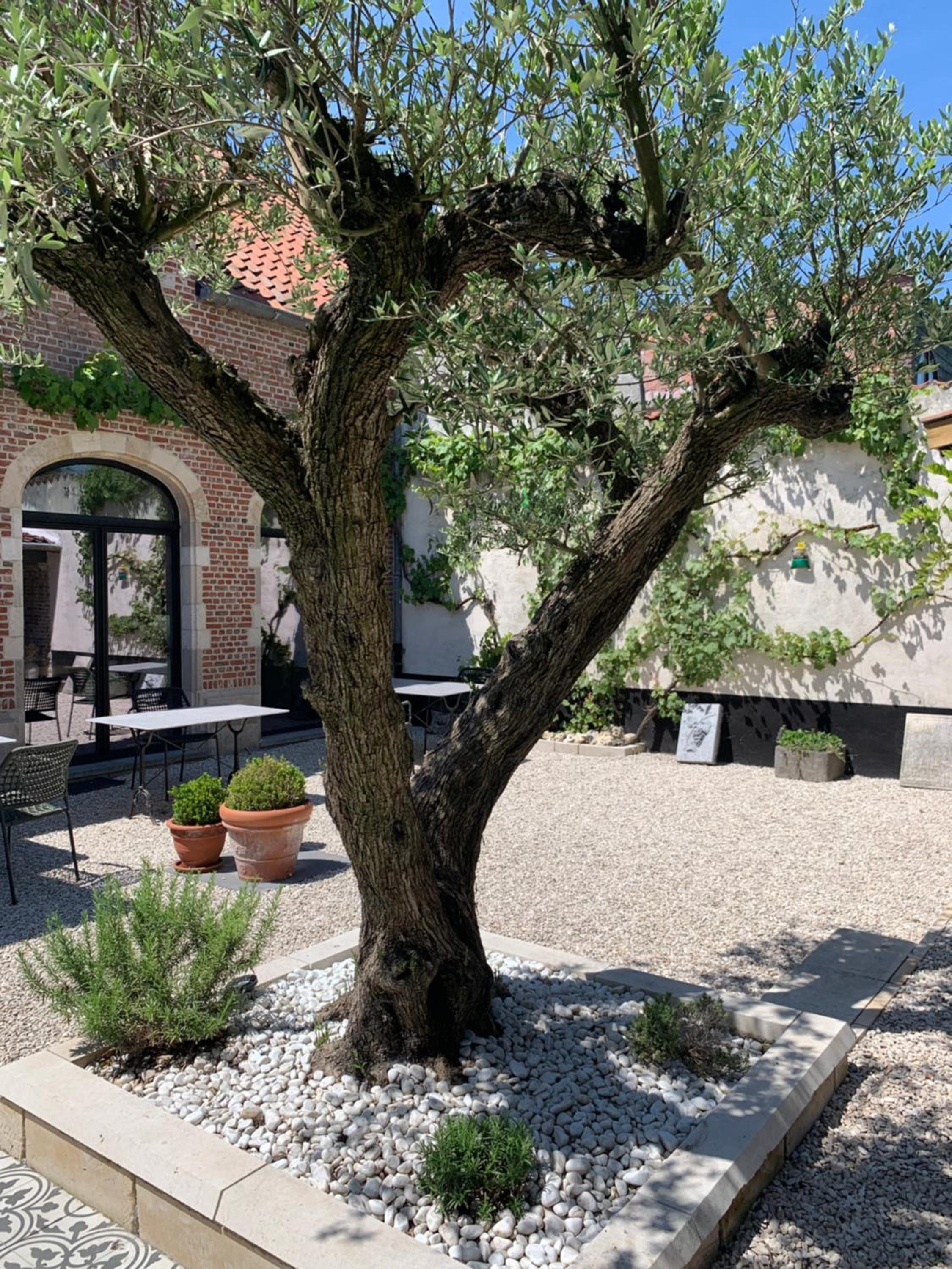 B&b kleinen bosch