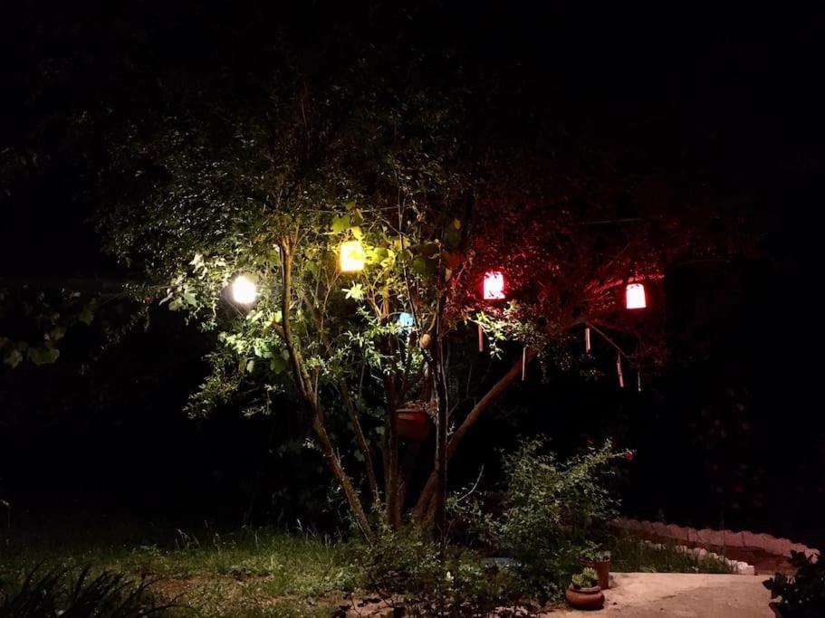 Photo 17
