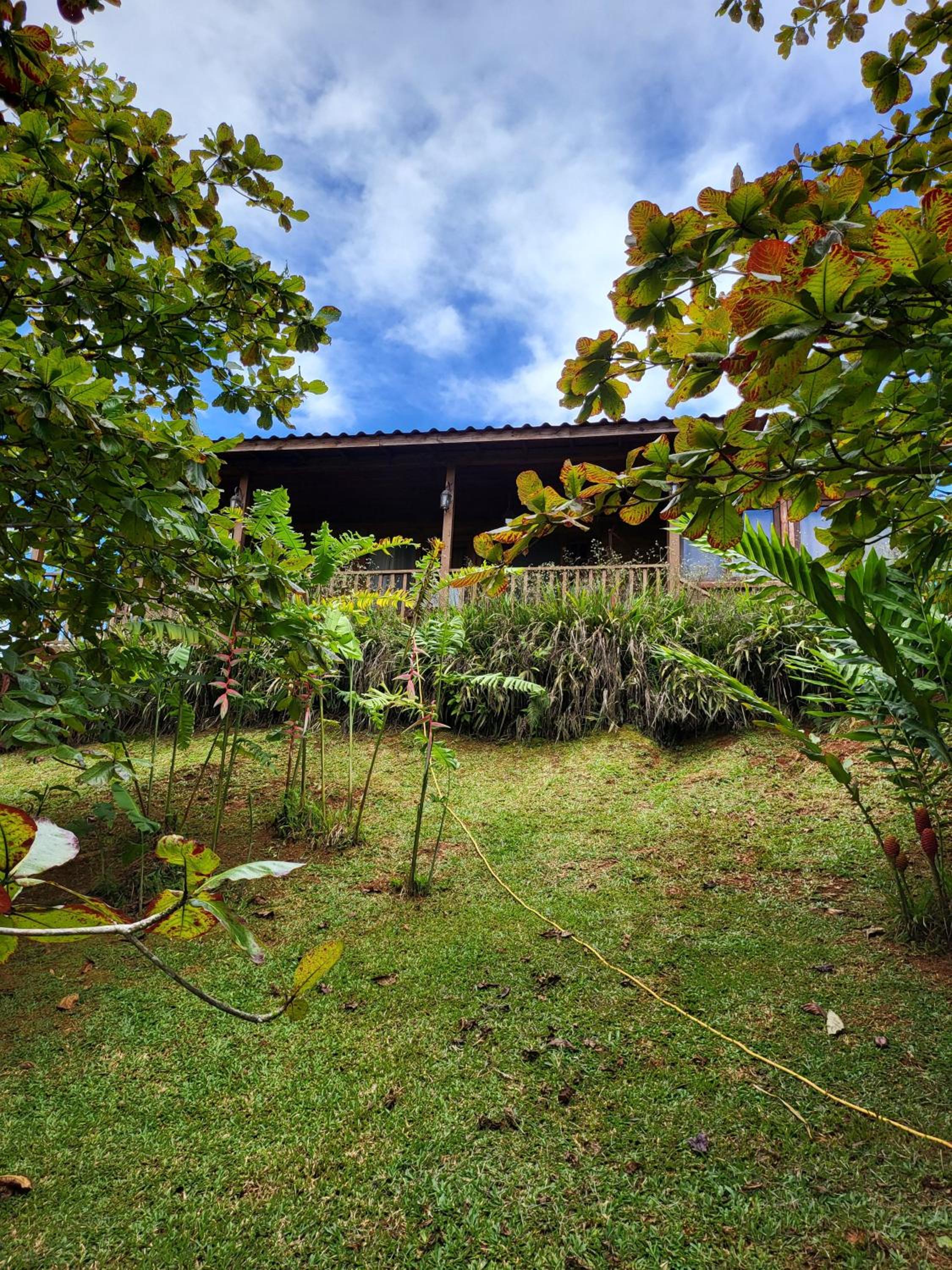 Jaco-Carara 3 bdrm surrounded by rainforest with private pool
