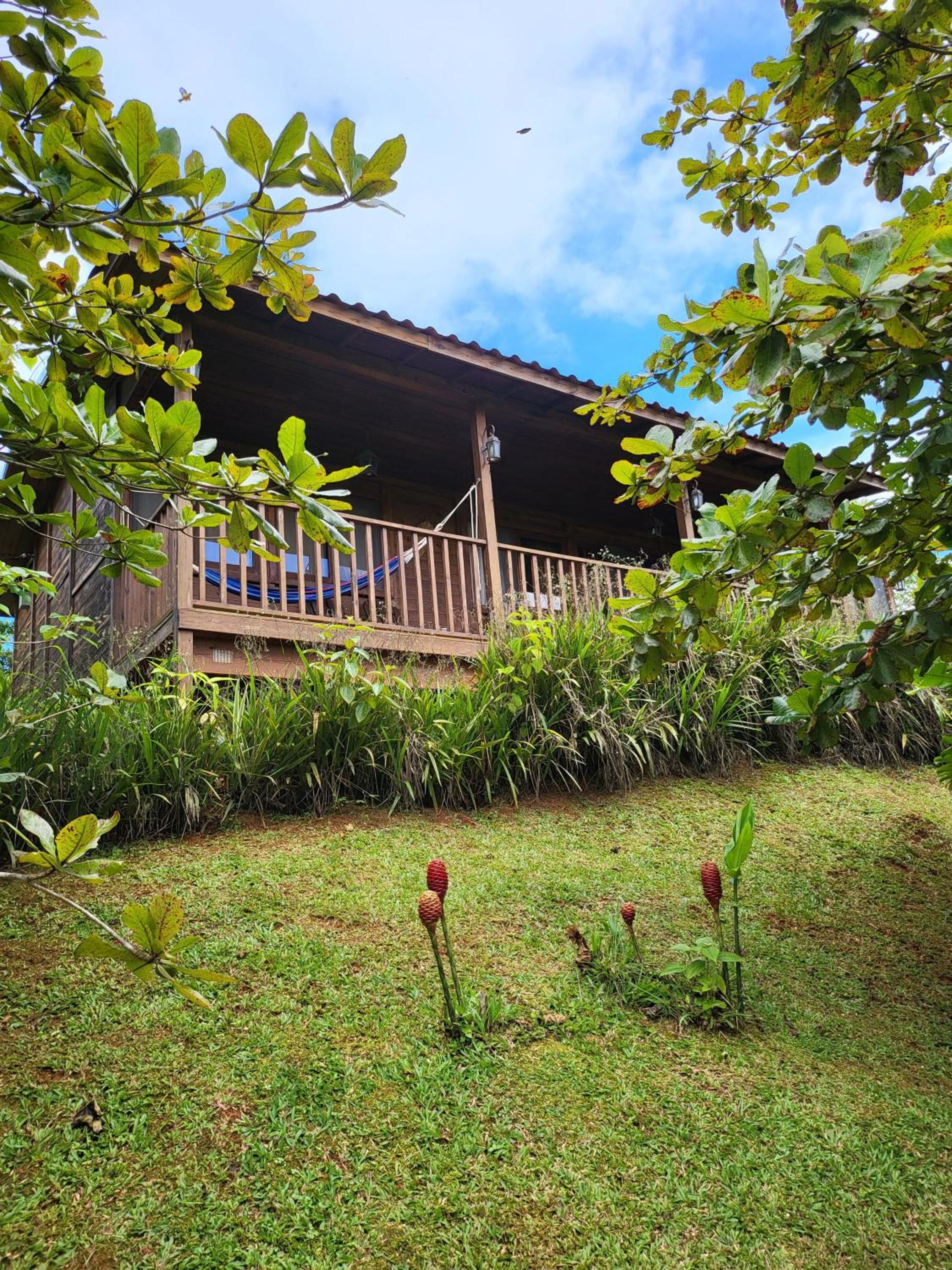 Jaco-Carara 3 bdrm surrounded by rainforest with private pool