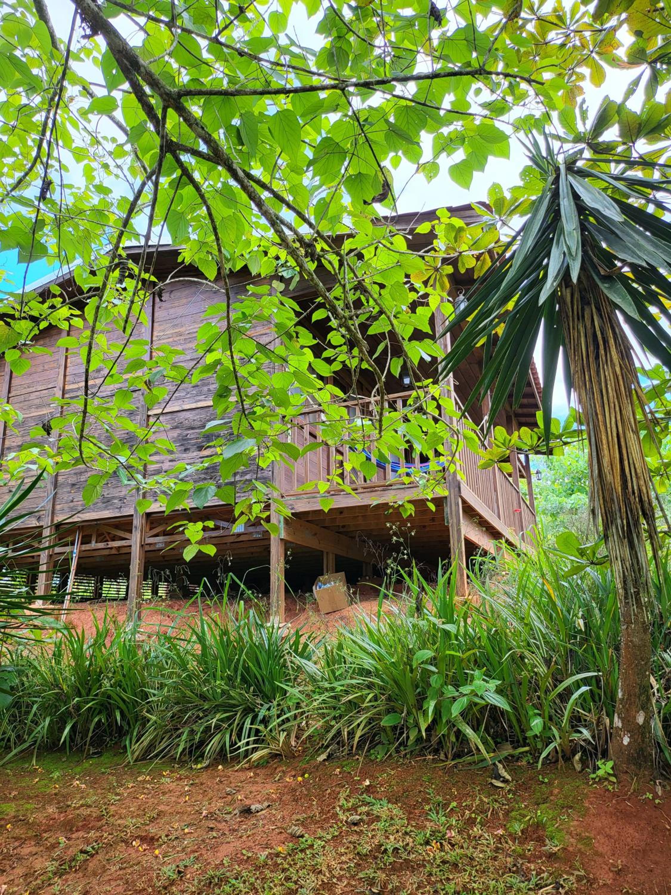 Jaco-Carara 3 bdrm surrounded by rainforest with private pool