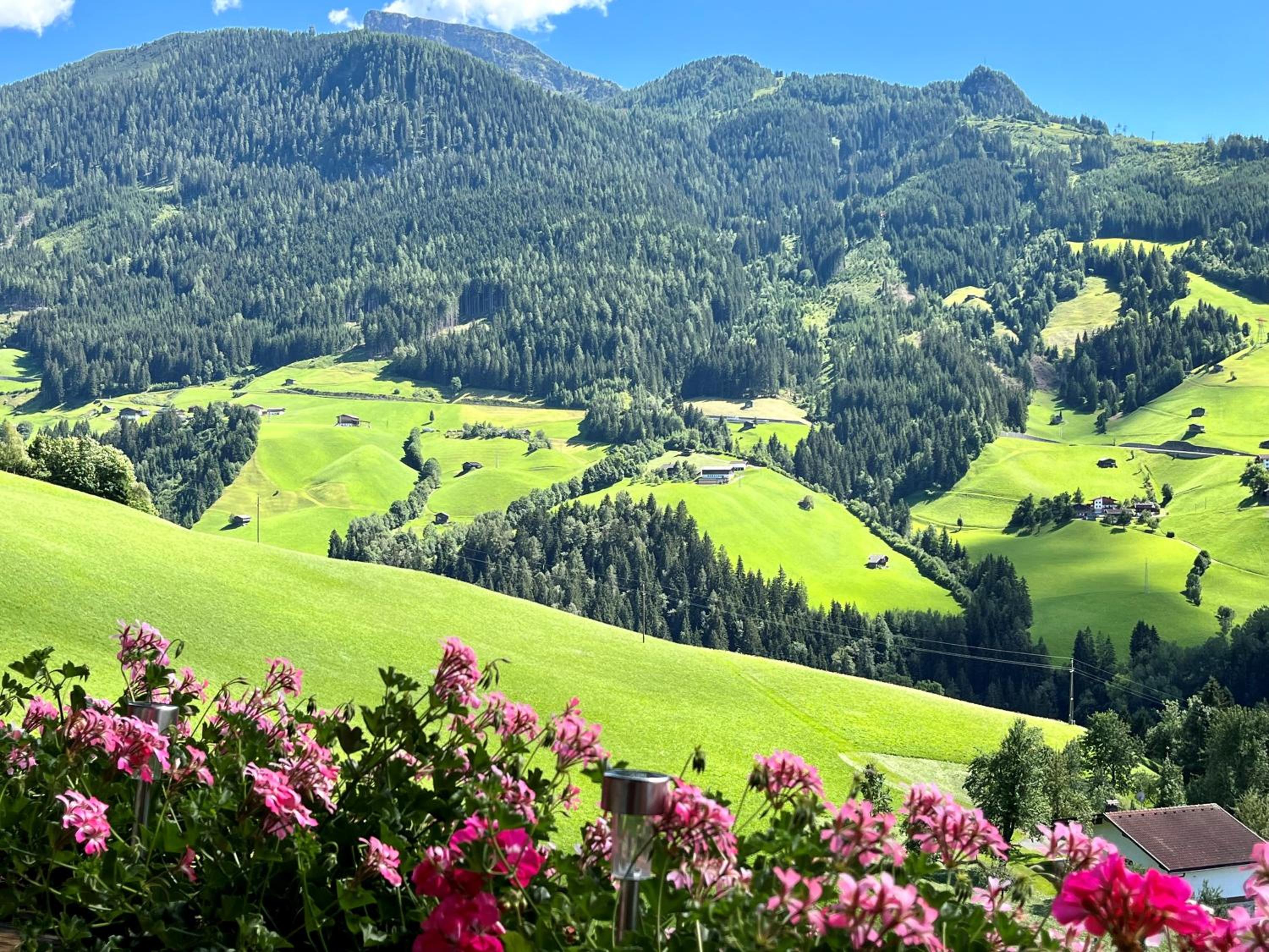 Landhaus Höllwarth view 2