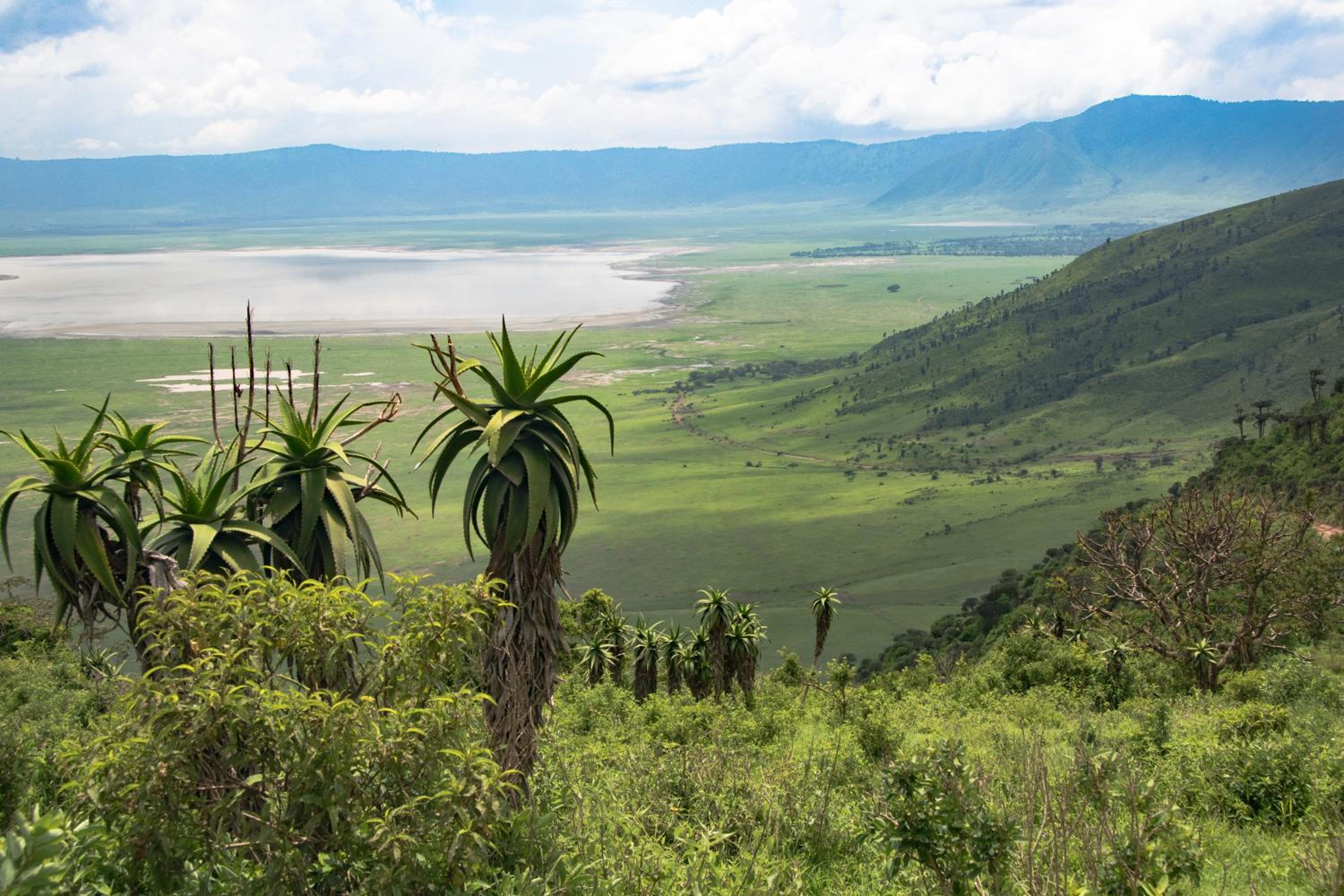 Africa Safari Ngorongoro Ndutu view 3