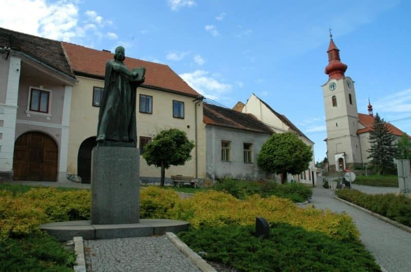 Photo 8
