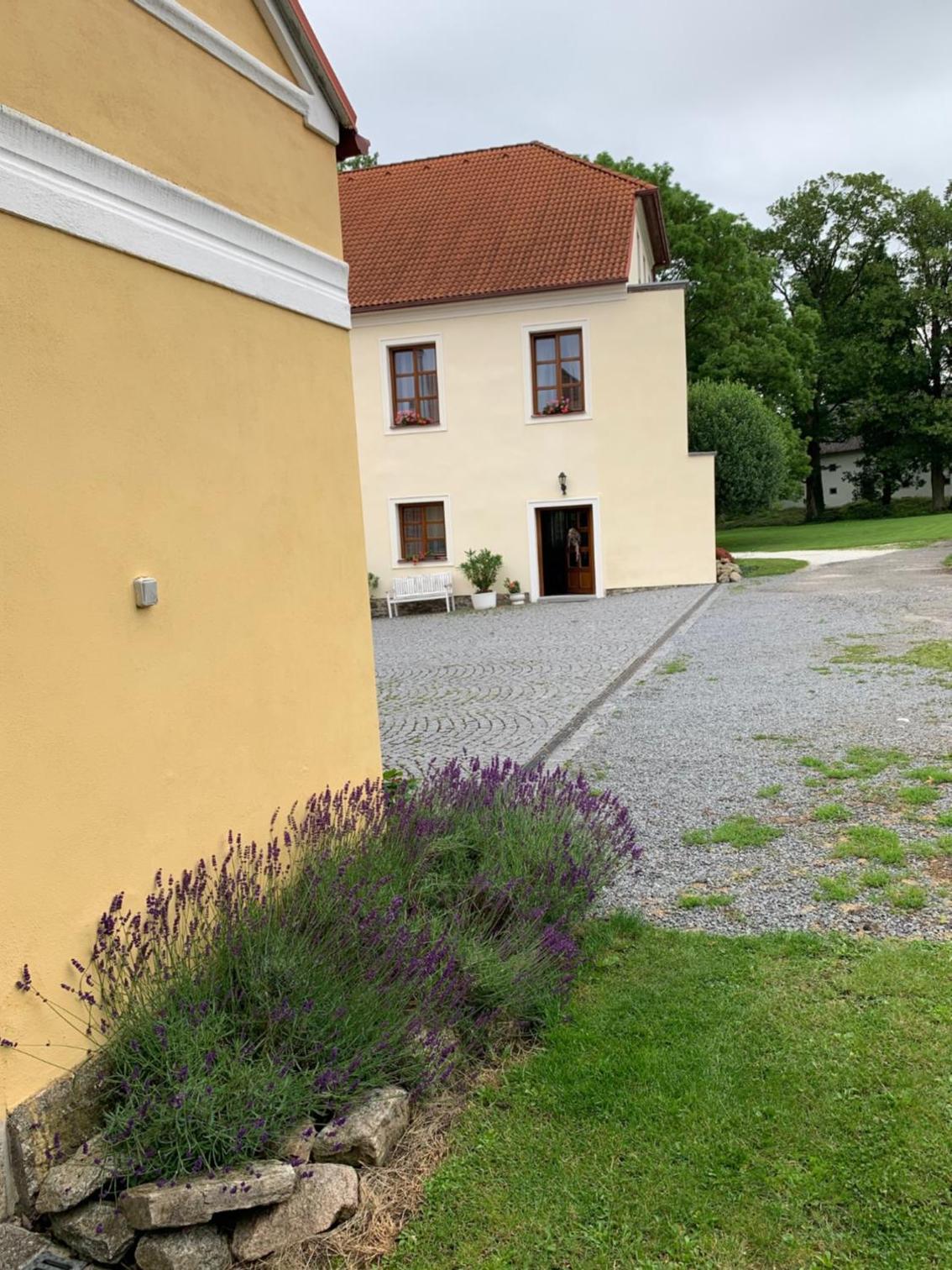 Zámek Jindřichovice