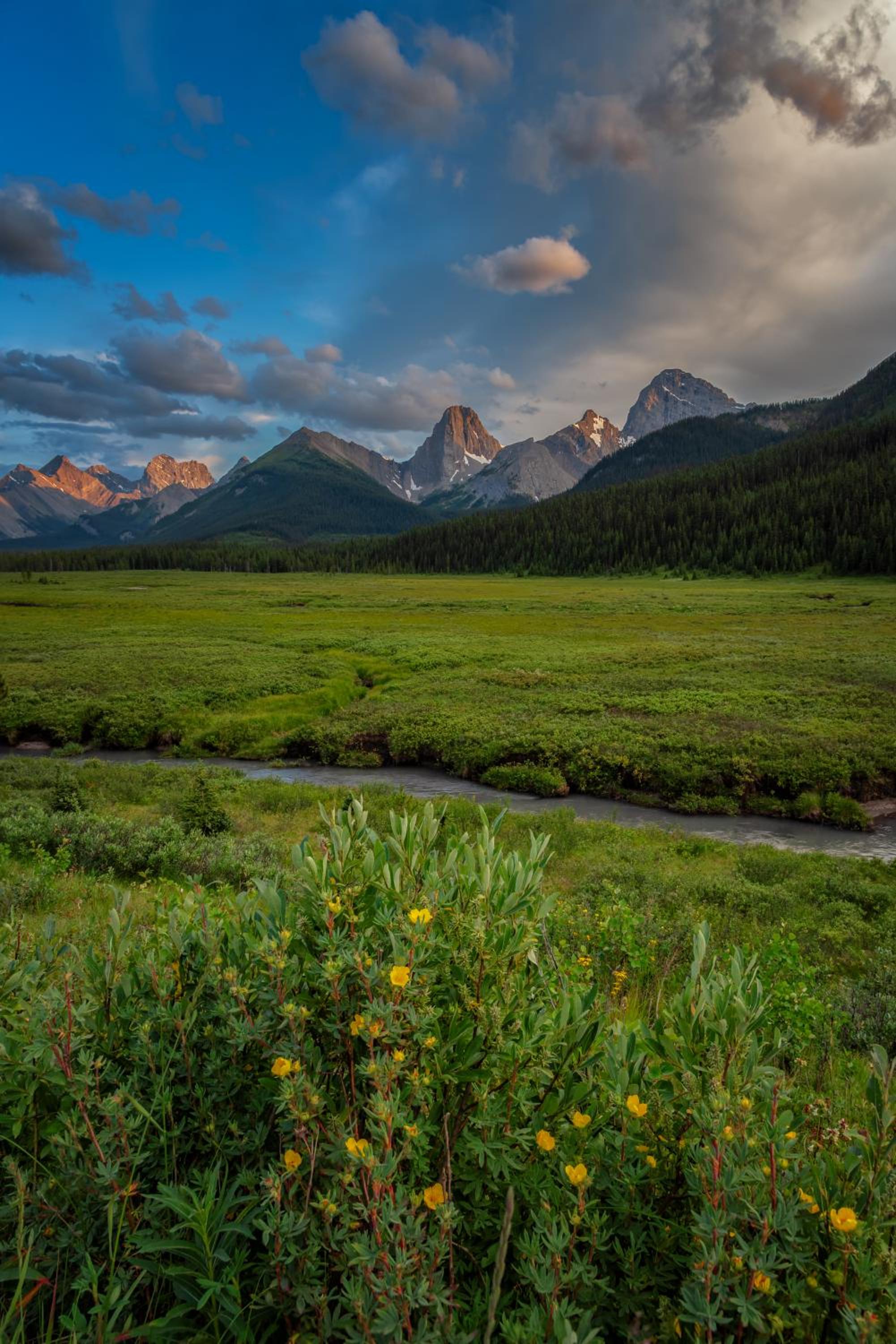 Mount Engadine Lodge