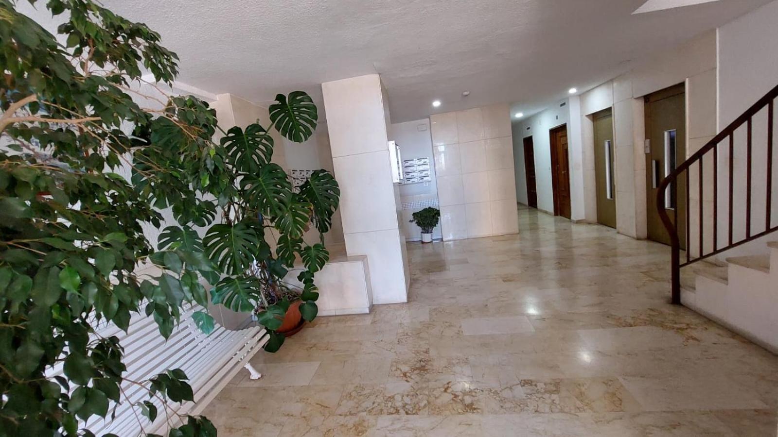 Apartamento Sirena view 3