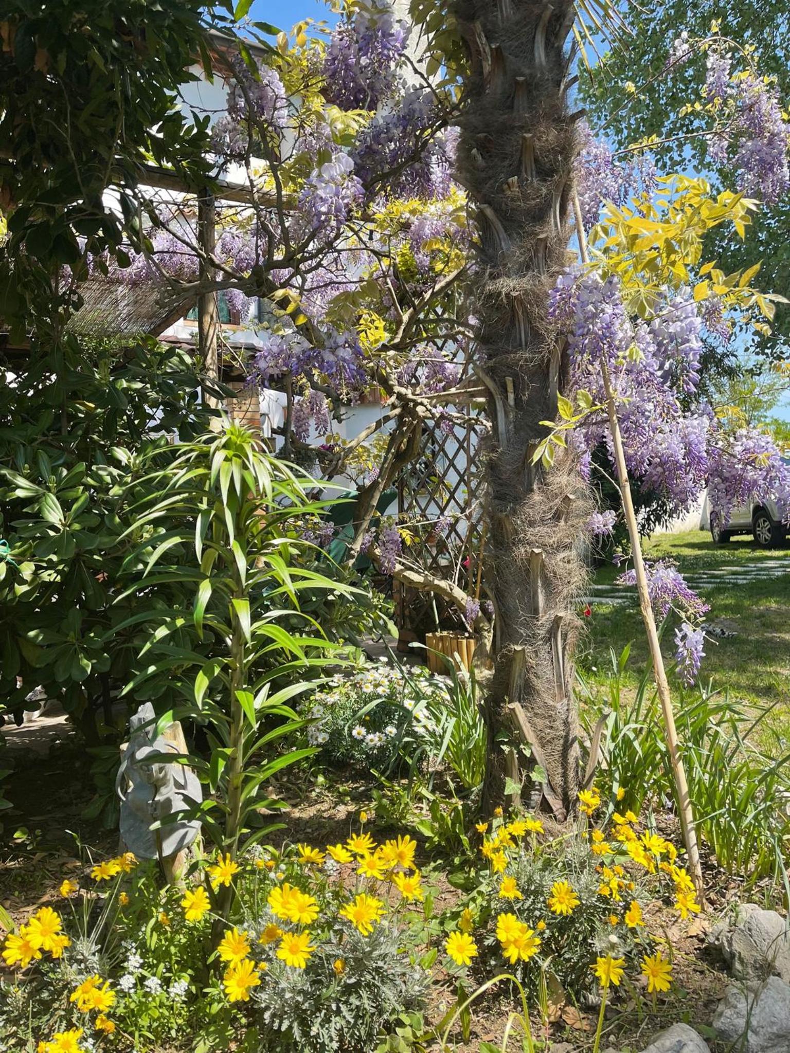 La Bricola