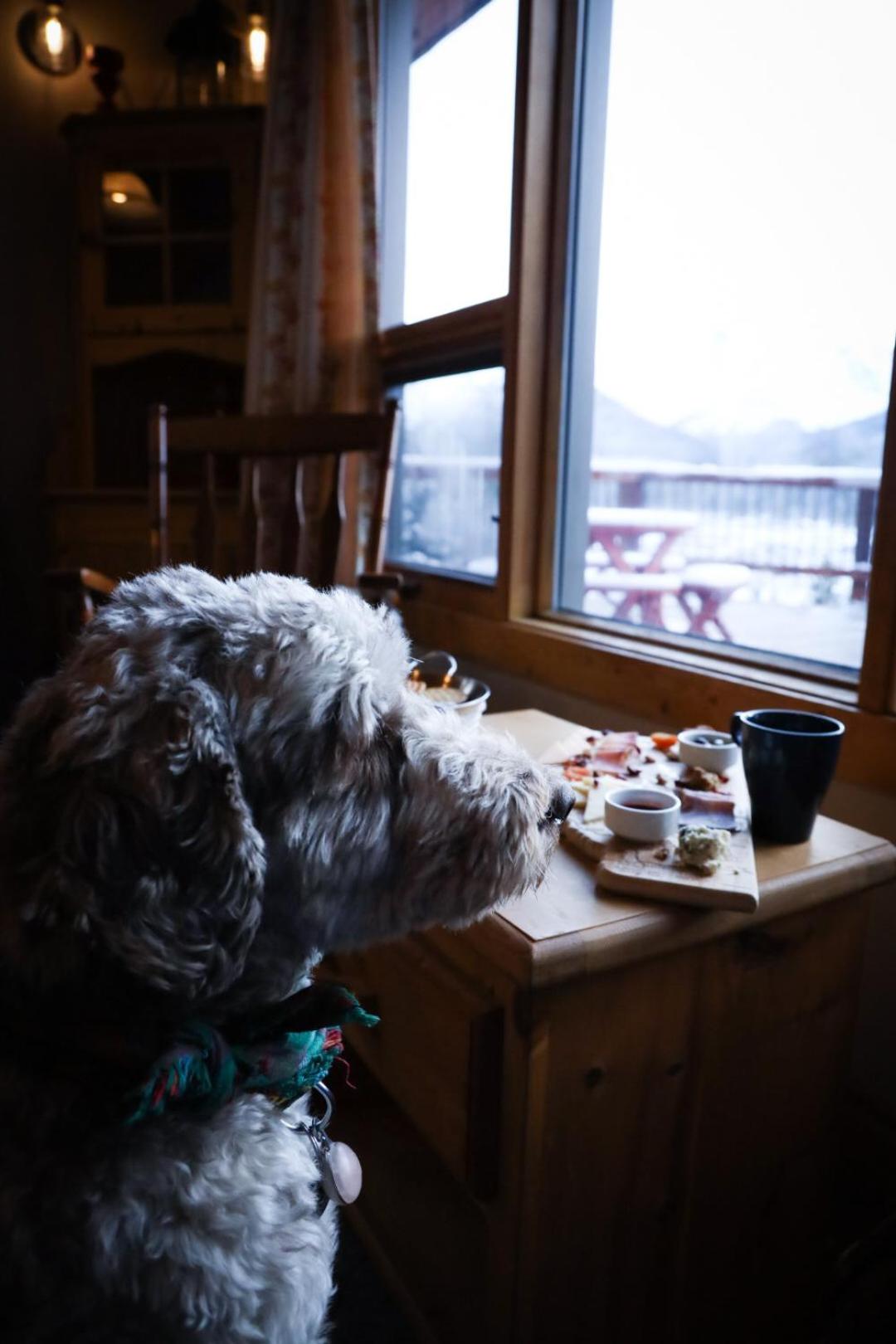 Mount Engadine Lodge