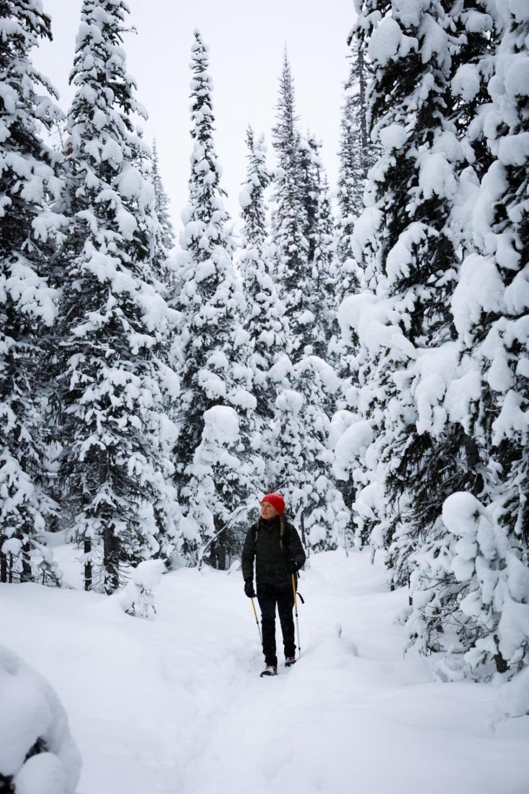 Mount Engadine Lodge