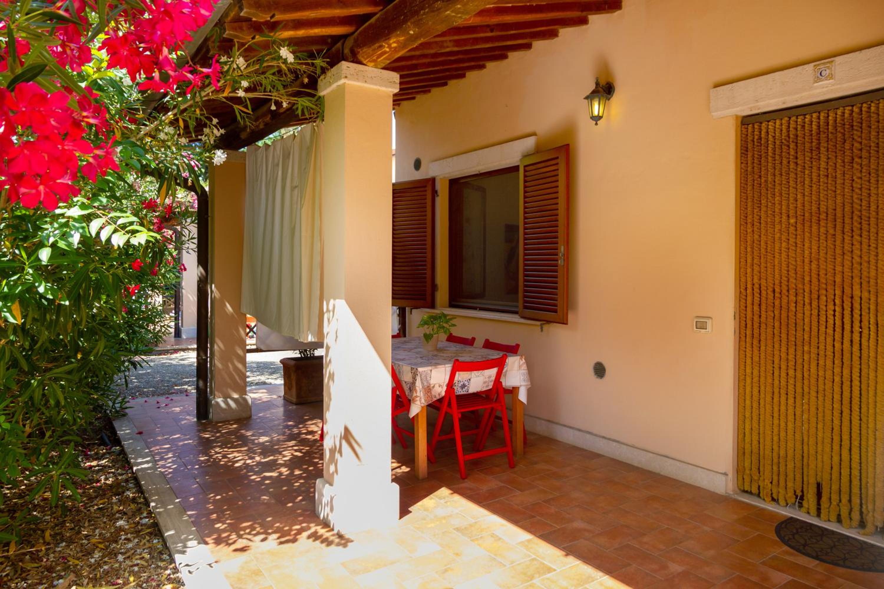 Bilo Camelia photo 4